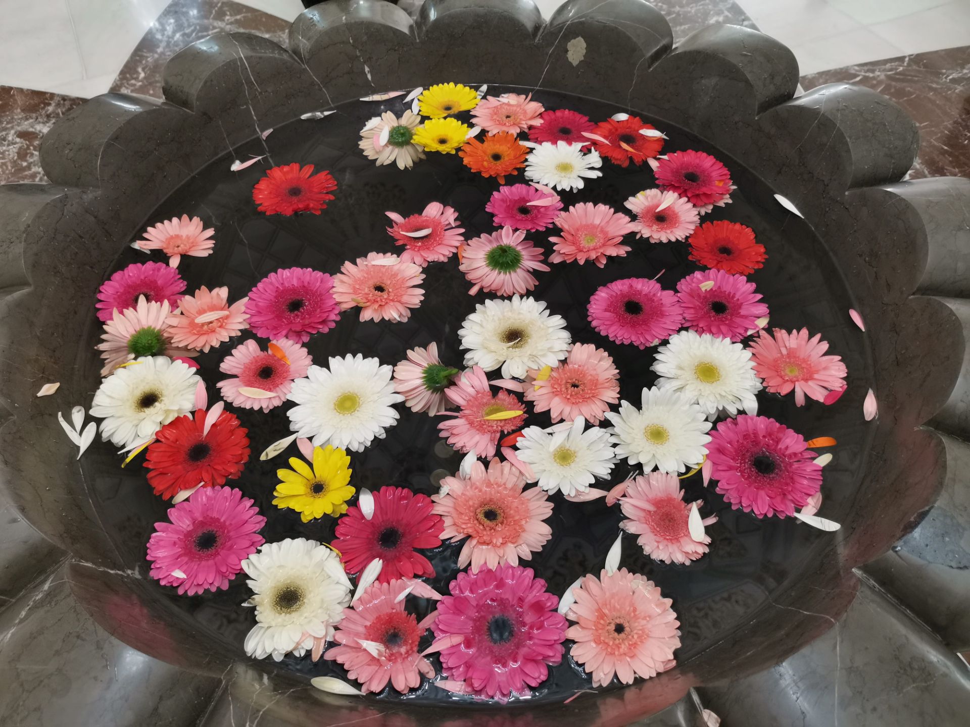 نمونه‌عکس‌های آنر 20 پرو