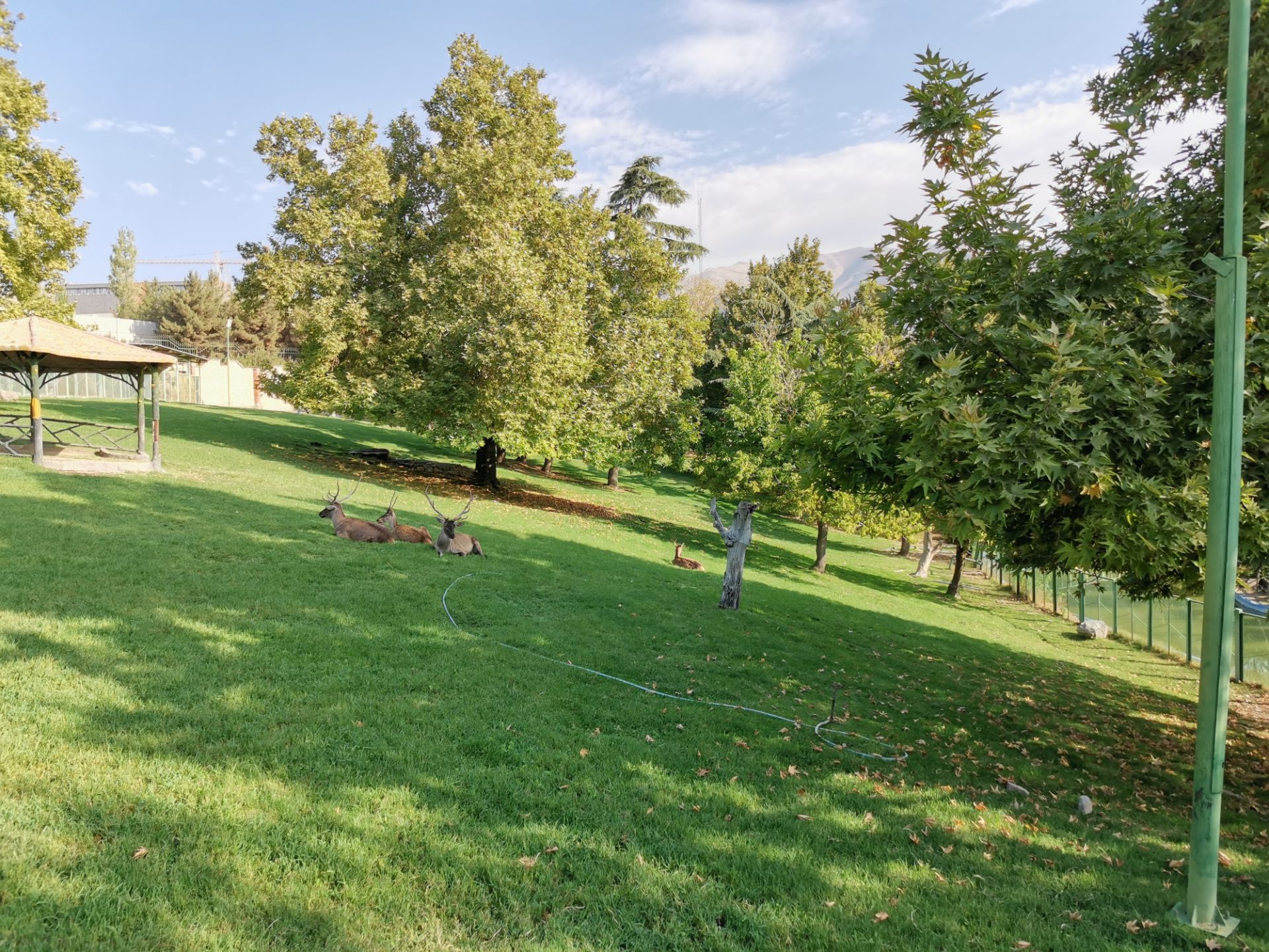 نمونه‌عکس‌های آنر 20 پرو