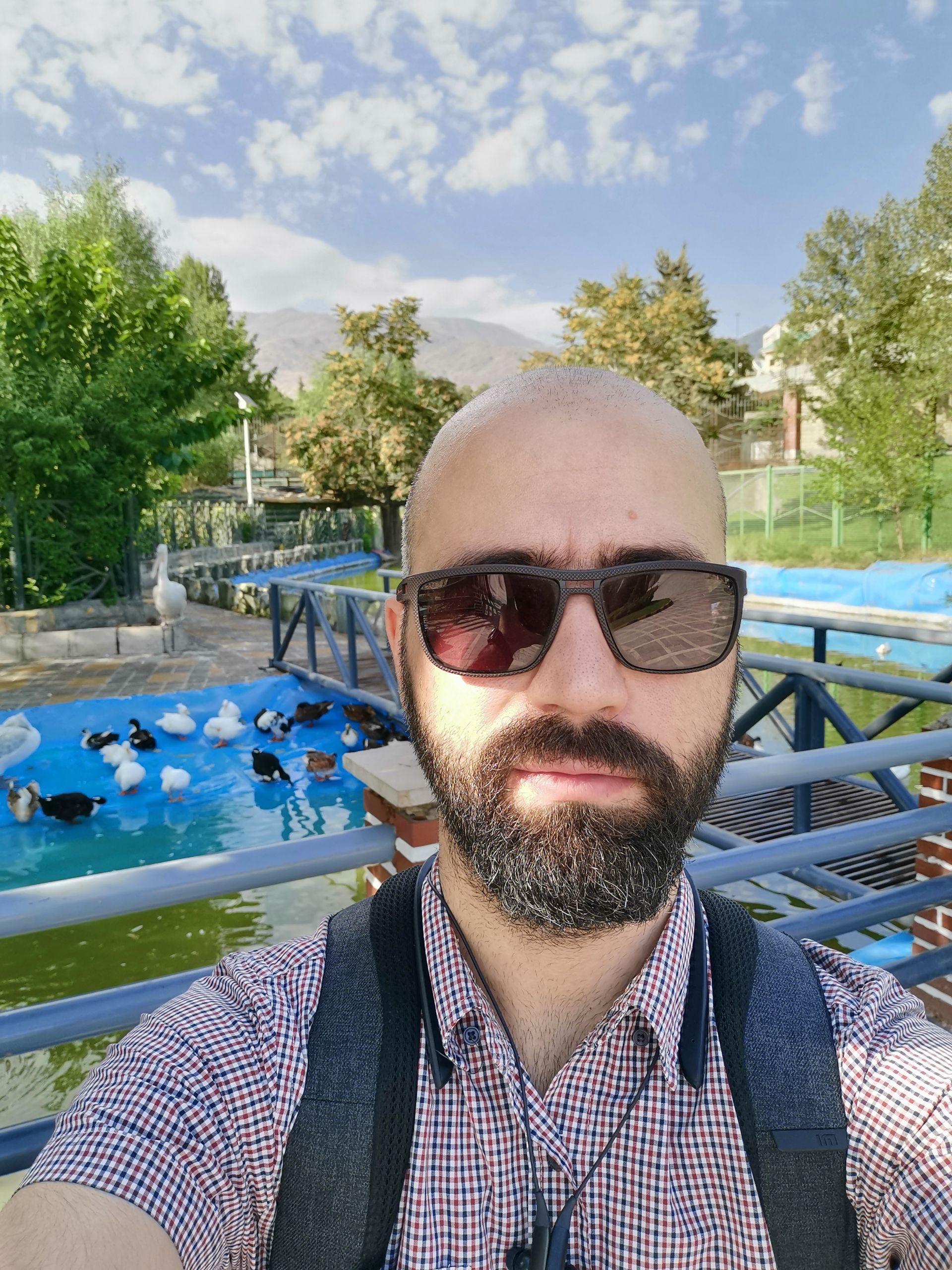 نمونه عکس سلفی آنر 20 پرو