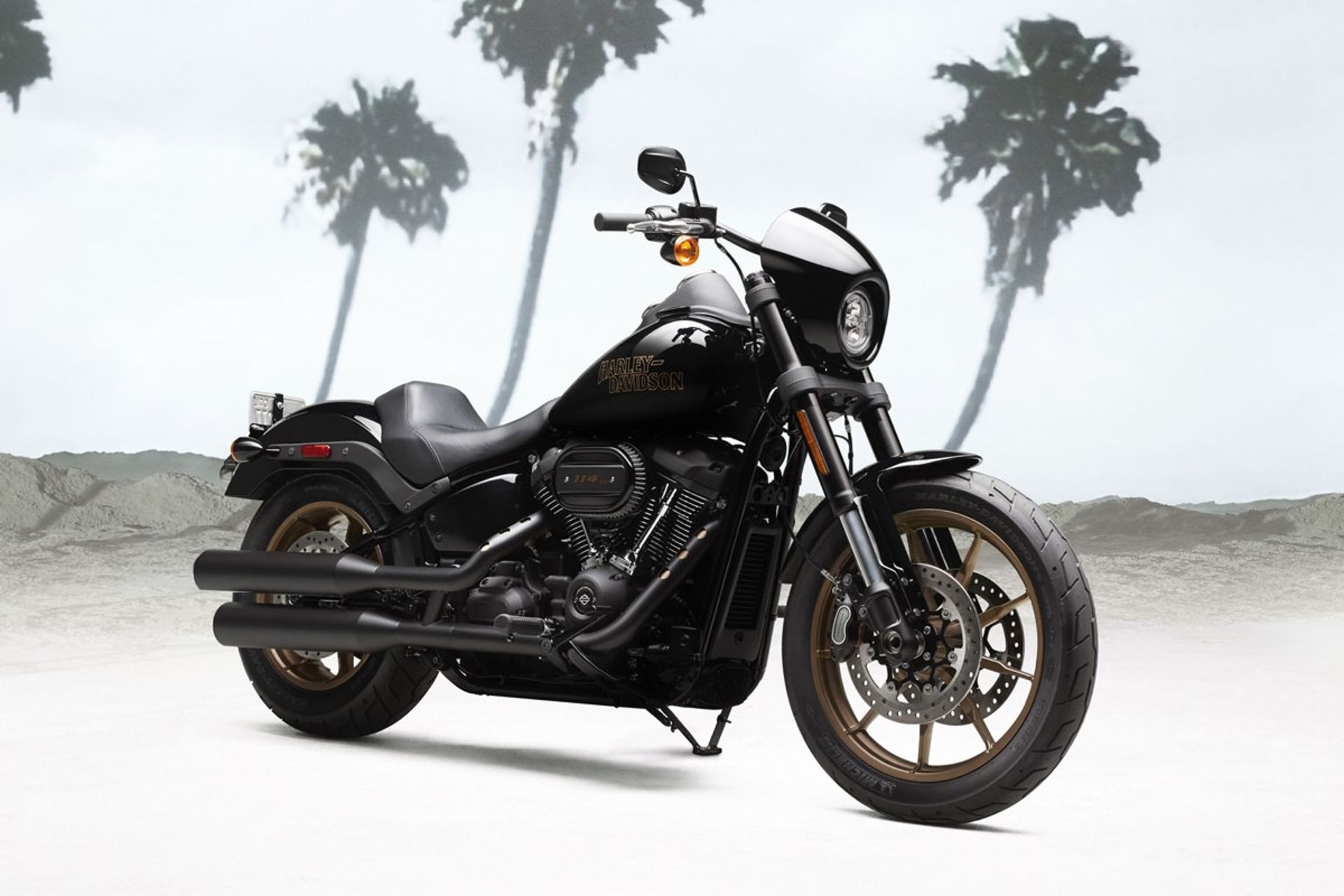 2020 Harley-Davidson Low Rider S