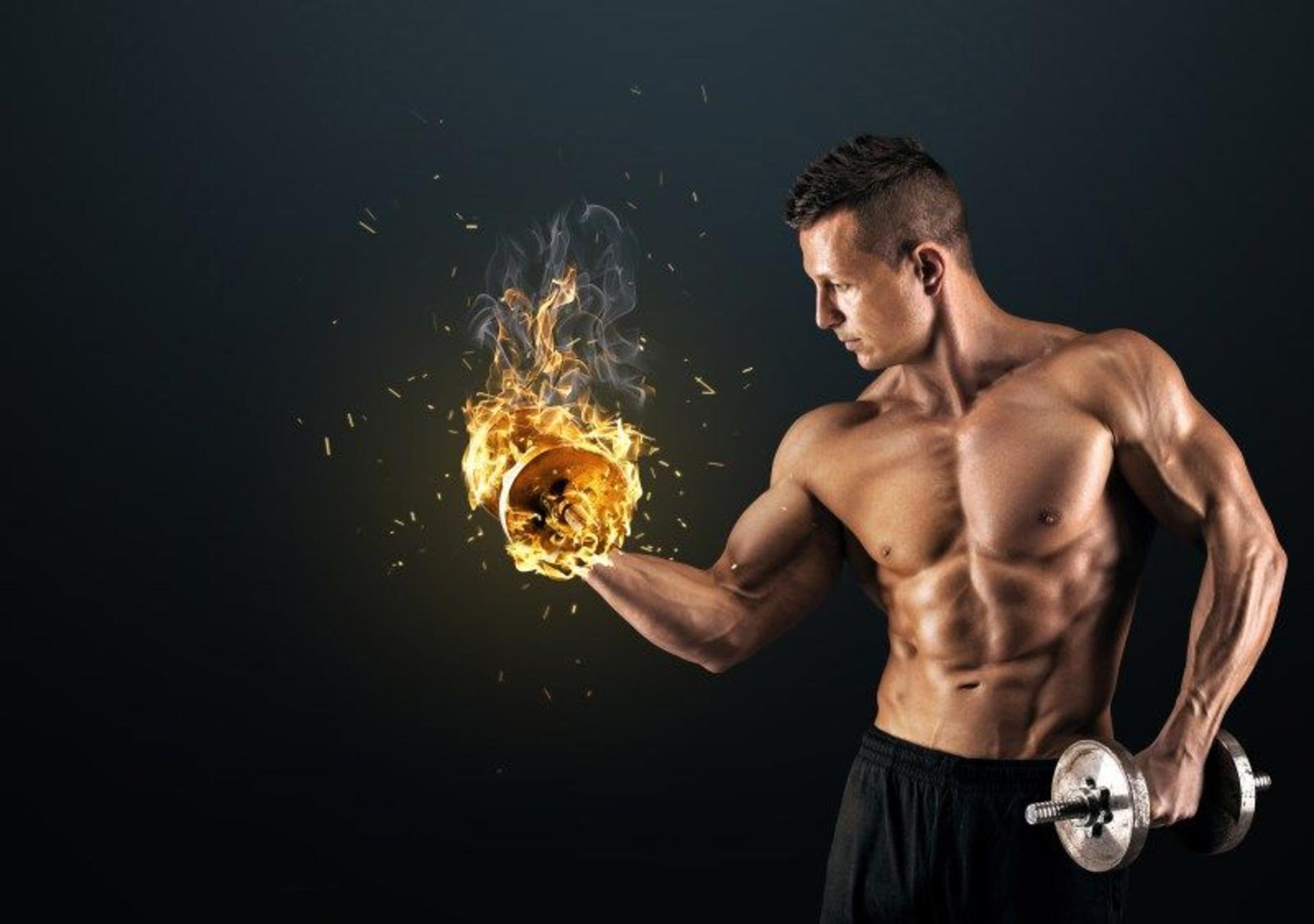 bodybuilding