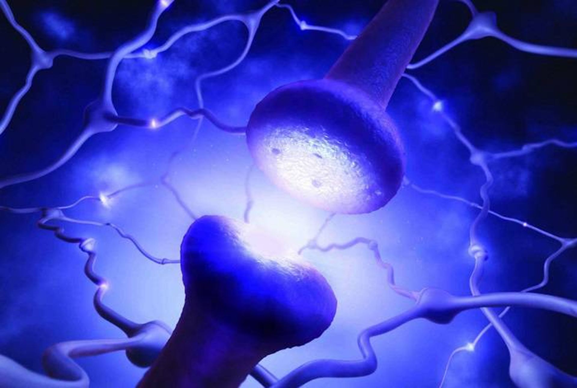 پایانه عصبی