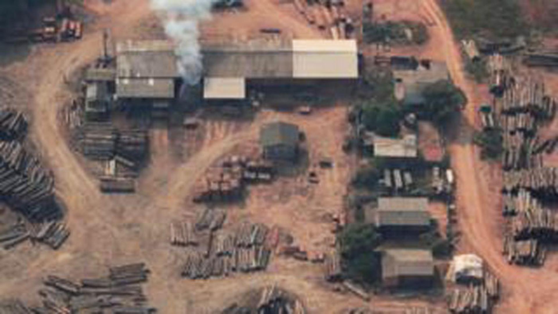 جنگل زدایی / deforestation