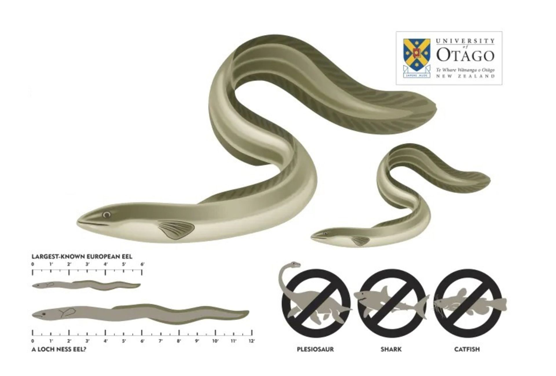  هیولای لخ‌نس