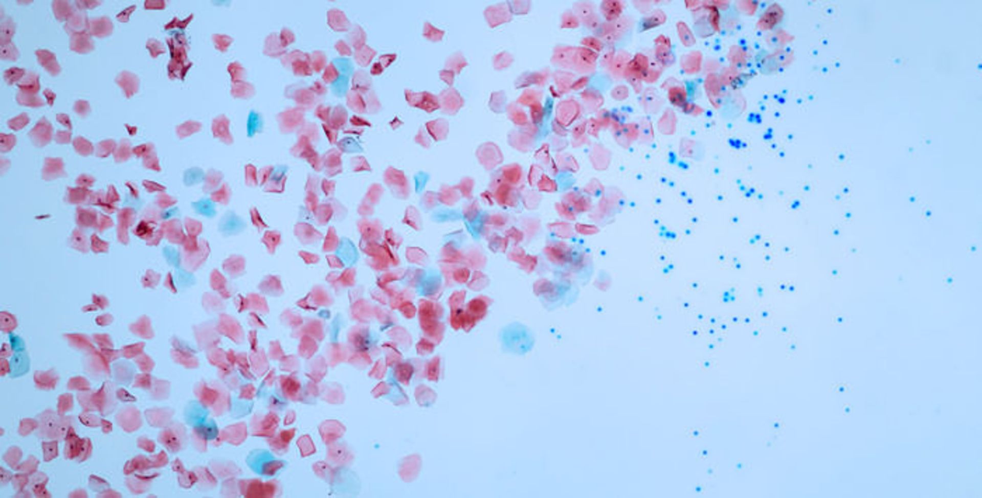 microplastic / میکروپلاستیک