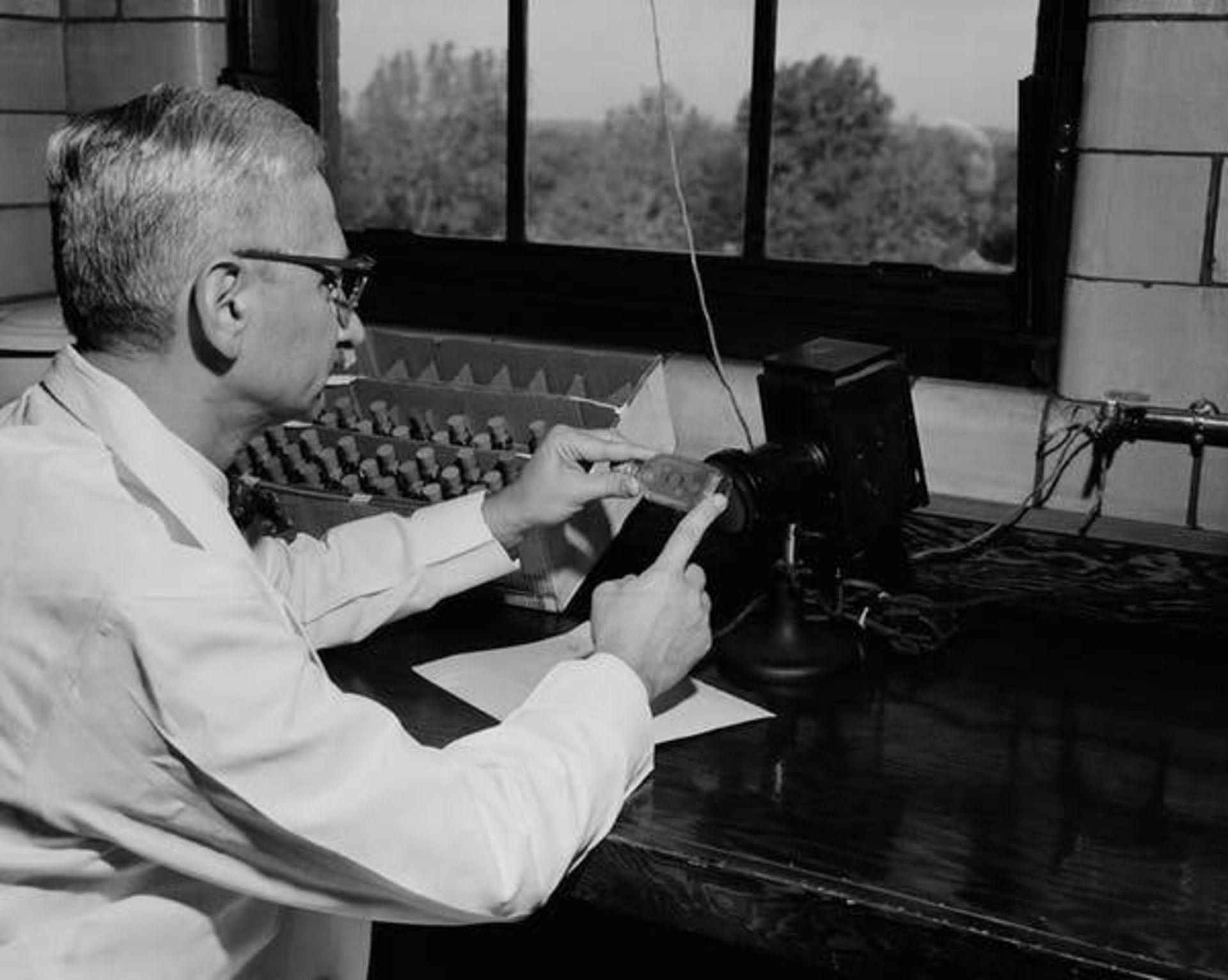 آلبرت سابین