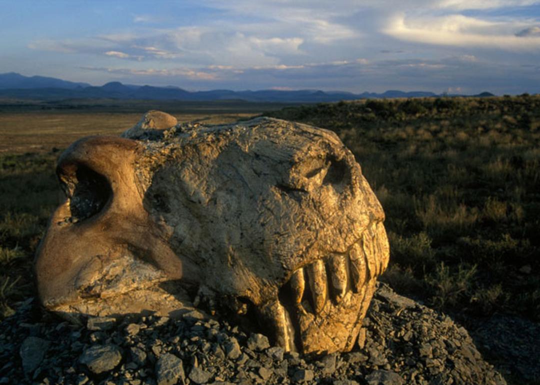 اینده 