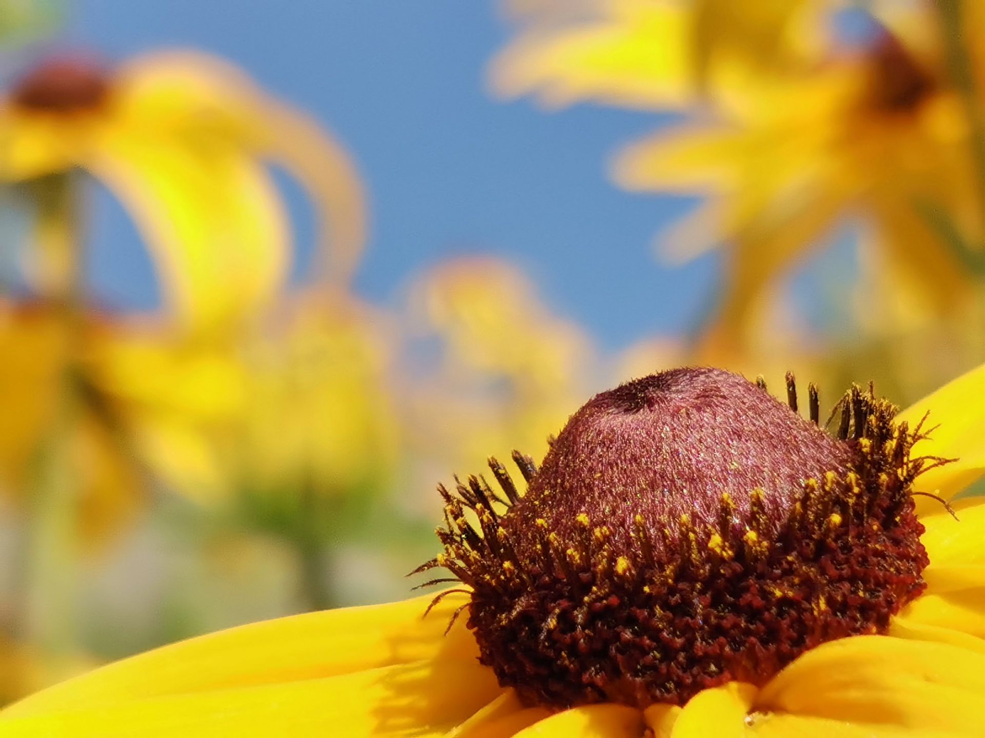 نمونه‌عکس‌های آنر 20 پرو