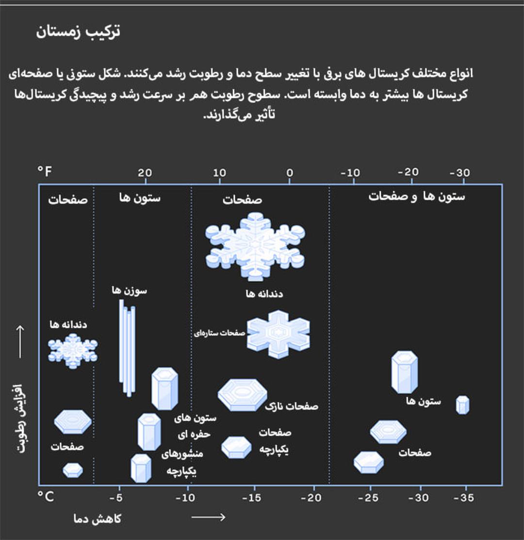 دانه برف