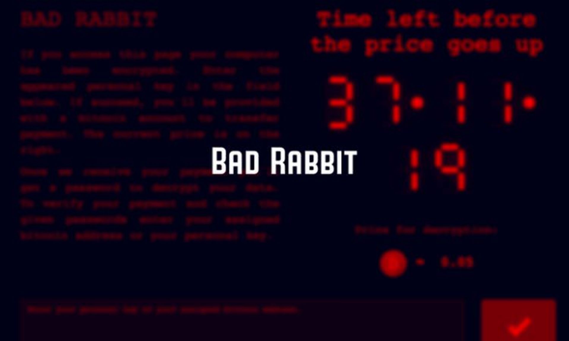 bad rabbit