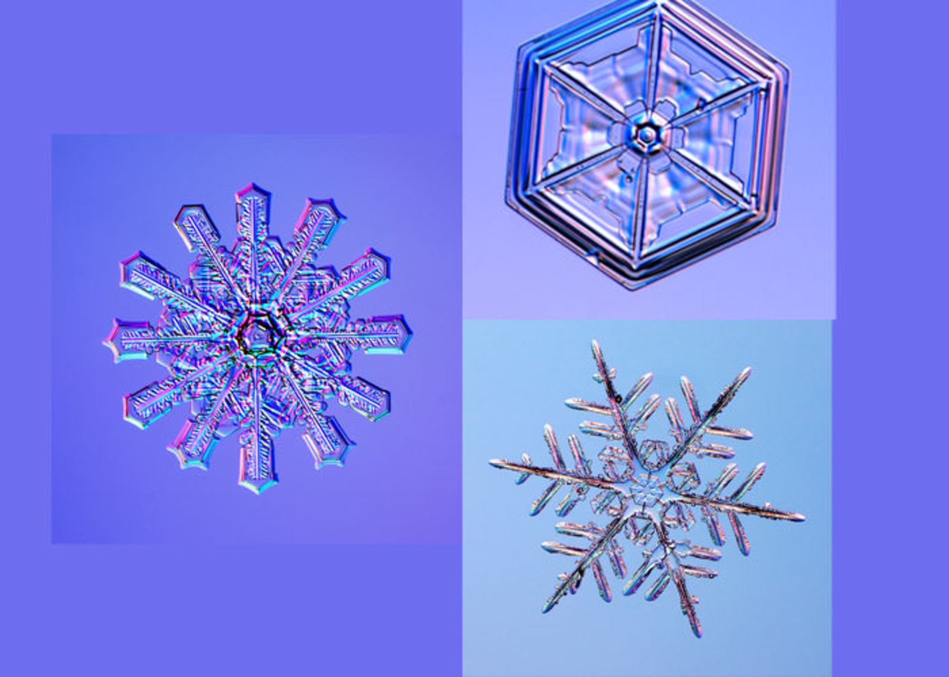 میکروگراف برف