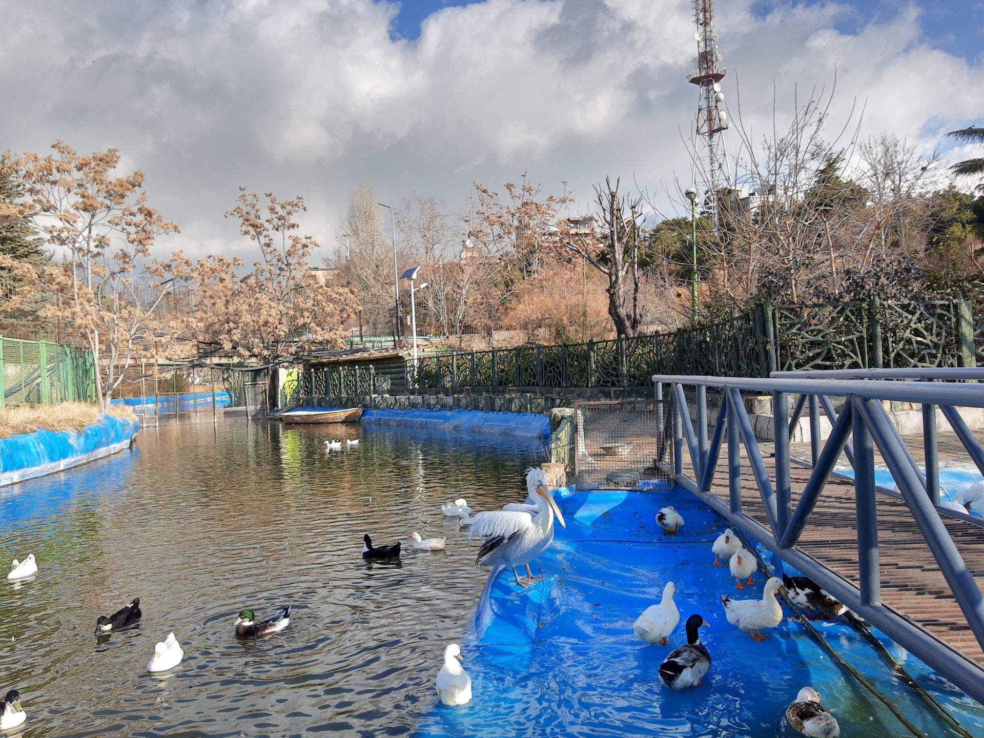 نمونه‌عکس‌های موتورولا وان اکشن