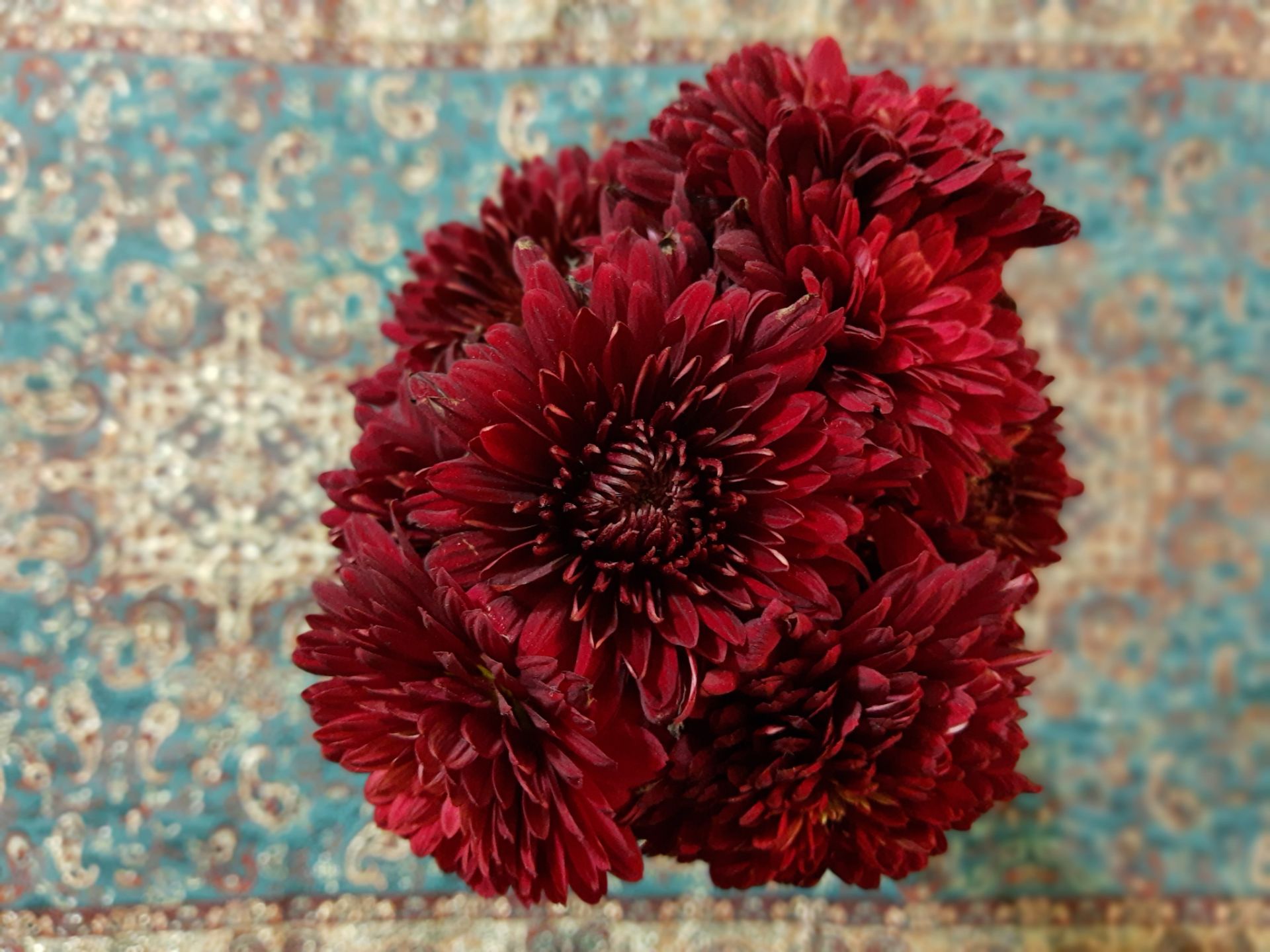 نمونه‌عکس‌های موتورولا وان اکشن