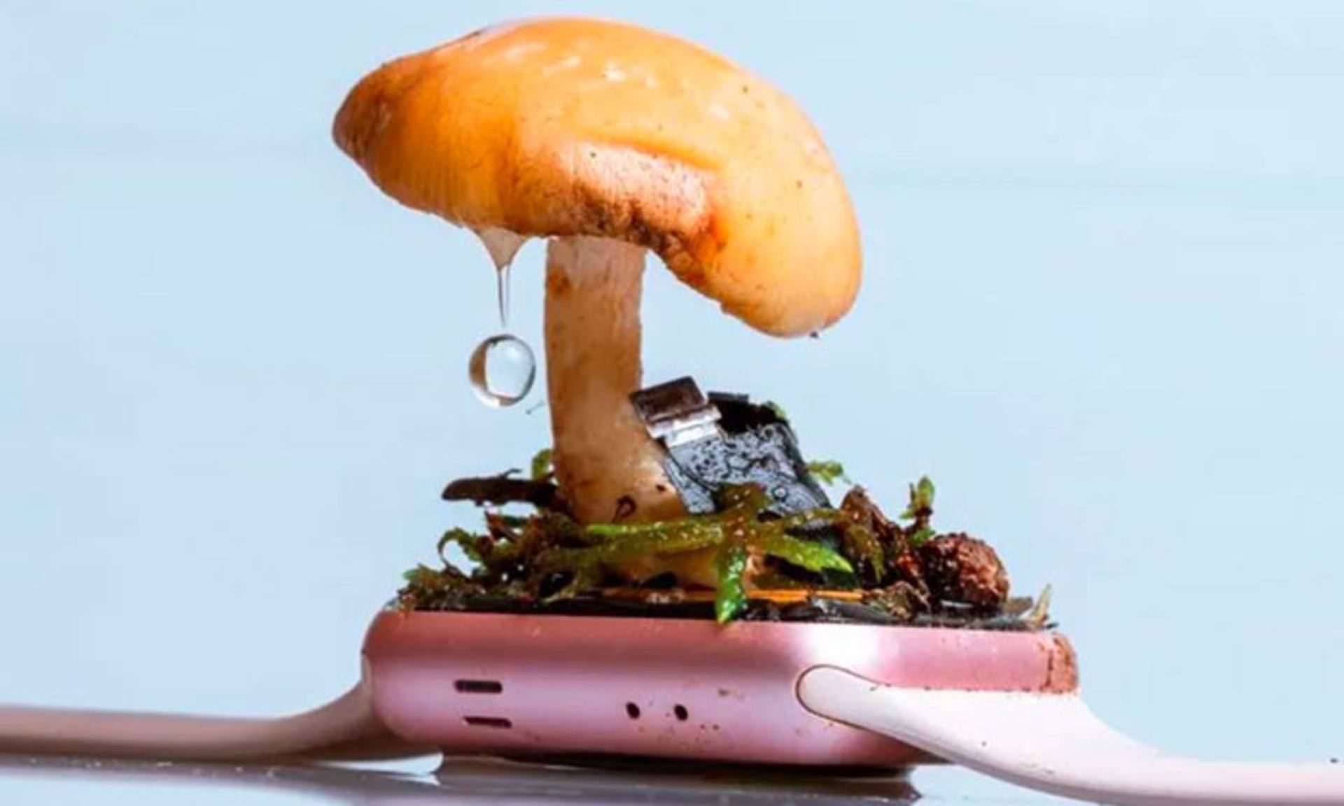 آثار هنری زباله های الکترونیکی