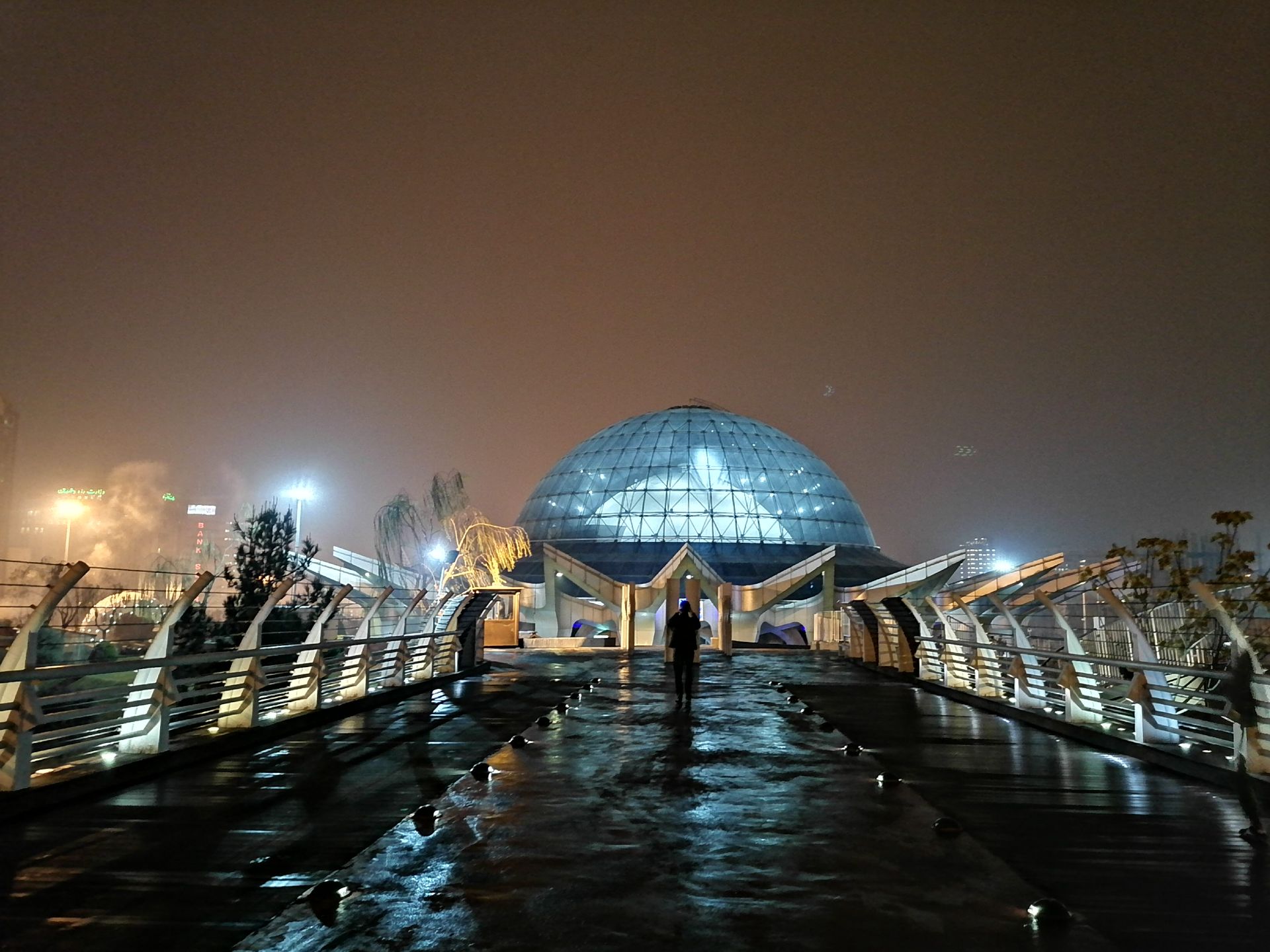 نمونه تصویر شب گرفته شده با دوربین اصلی آنر ۹ ایکس - حالت Night