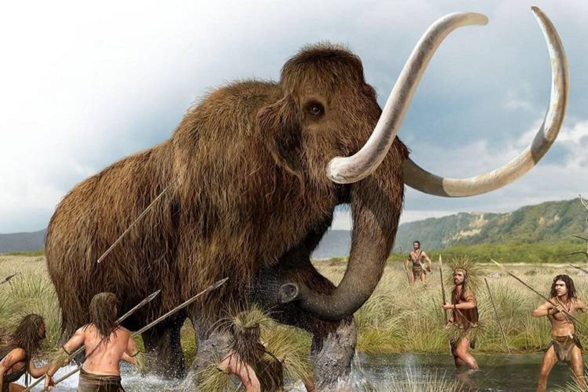 آیا انقراض پستانداران عصر یخبندان، انسان را ناگزیر به ابداع تمدن کرد؟