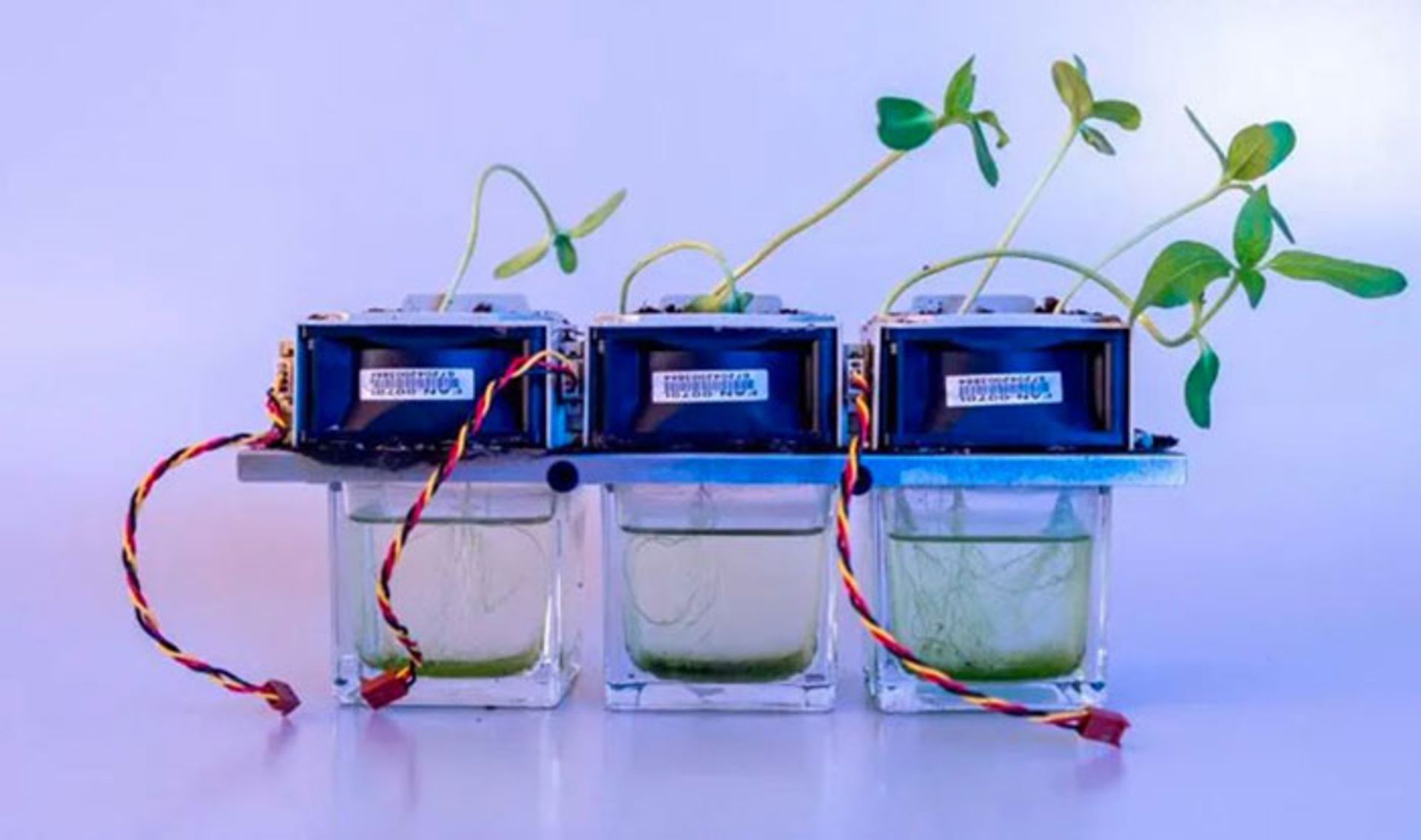 آثار هنری زباله های الکترونیکی