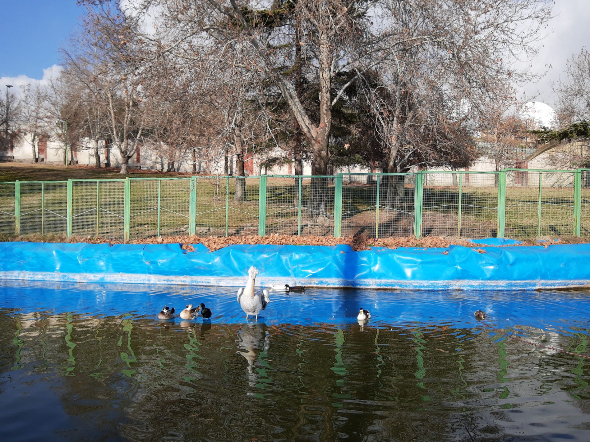 نمونه‌عکس‌های موتورولا وان اکشن