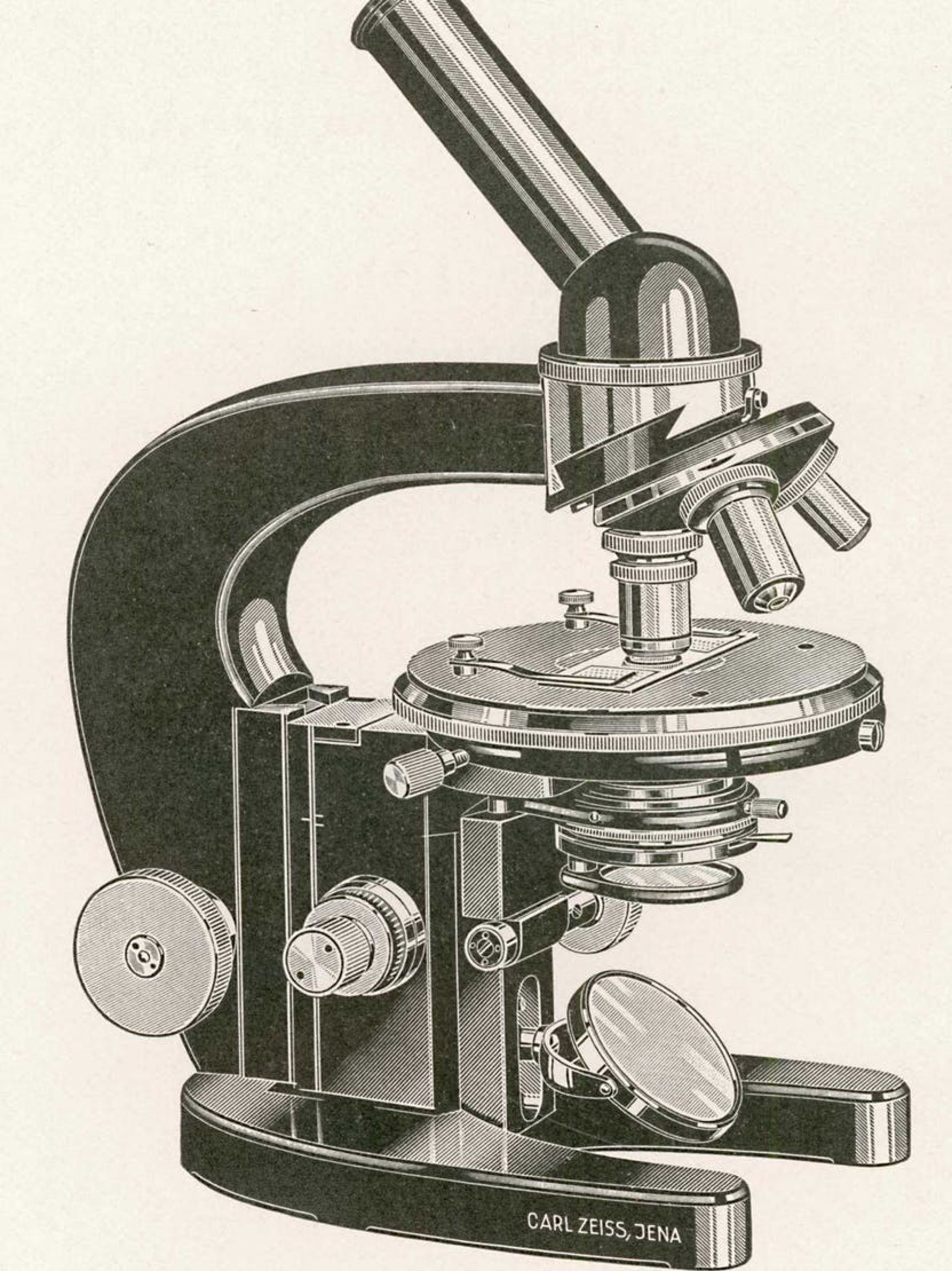 میکروسکوپ کارل زایس / Carl Zeiss