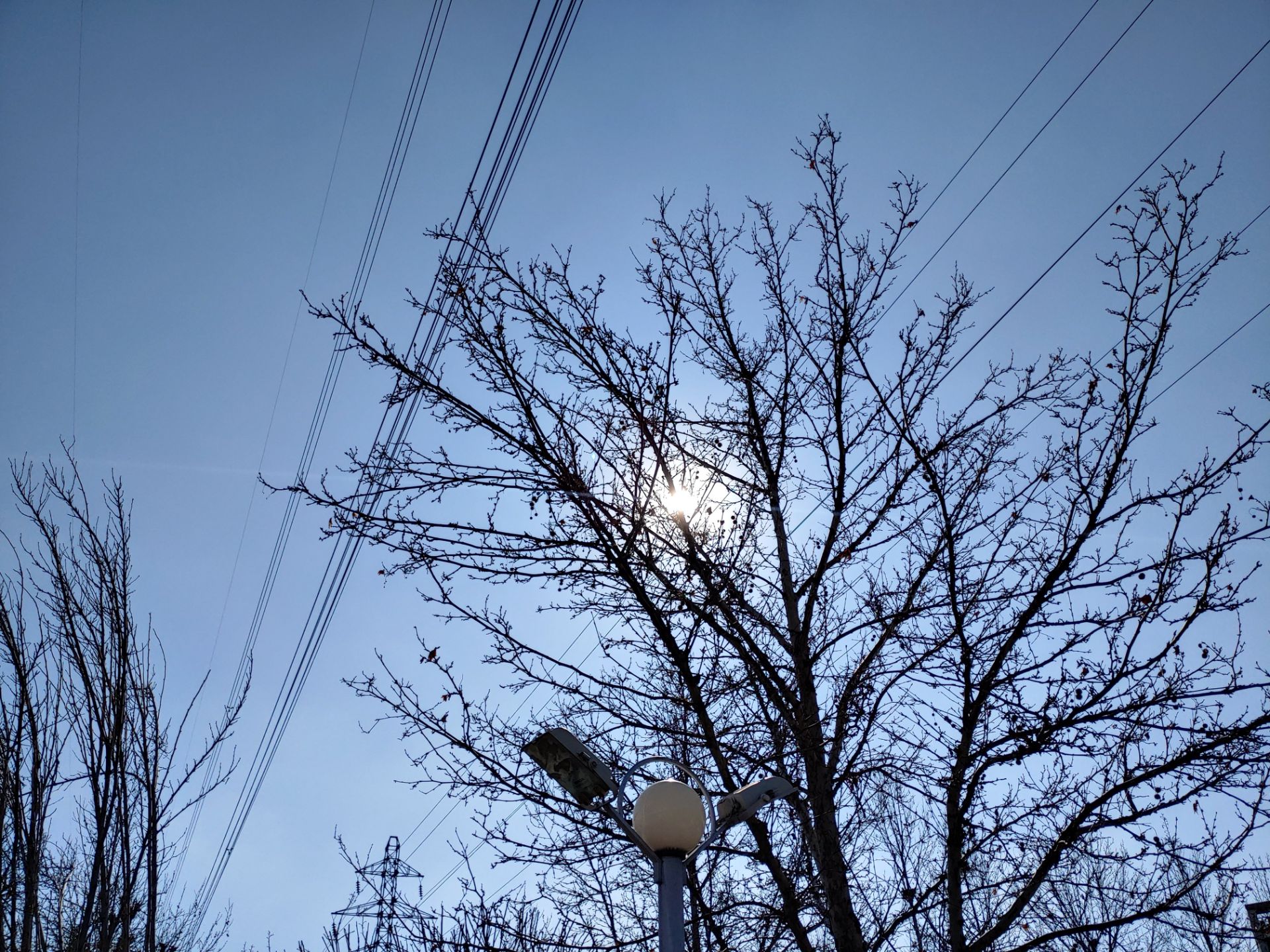 نمونه‌عکس‌های ال‌جی جی ۸ اس در طول روز