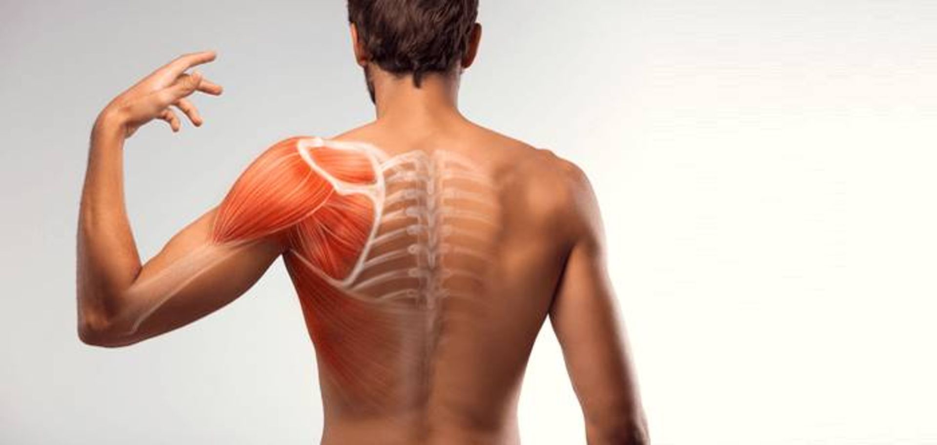 رابدومیولیز