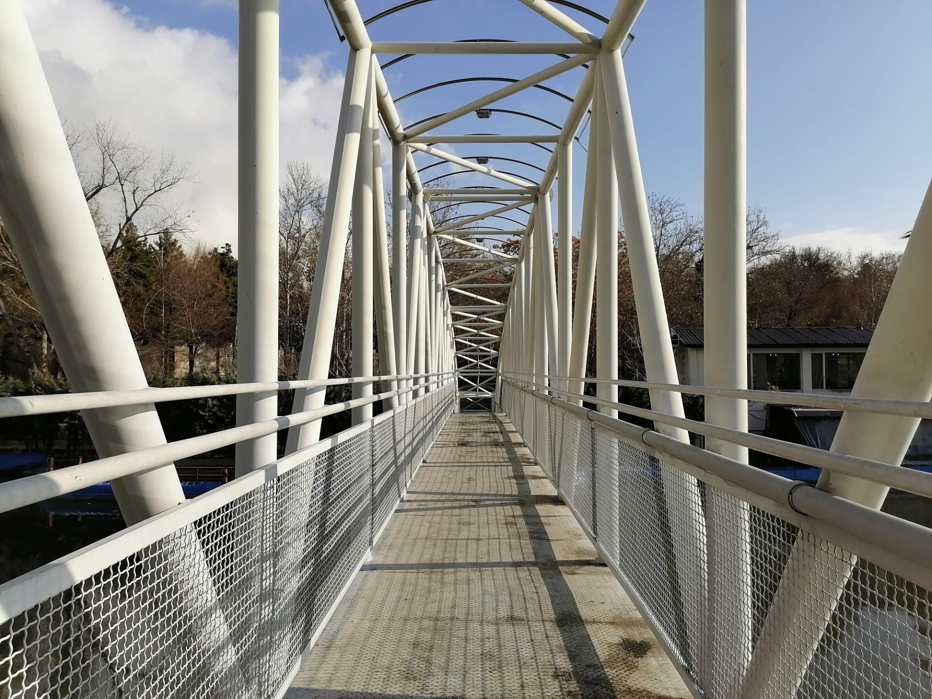 نمونه تصویر گرفته شده با دوربین اولتراواید آنر ۹ ایکس