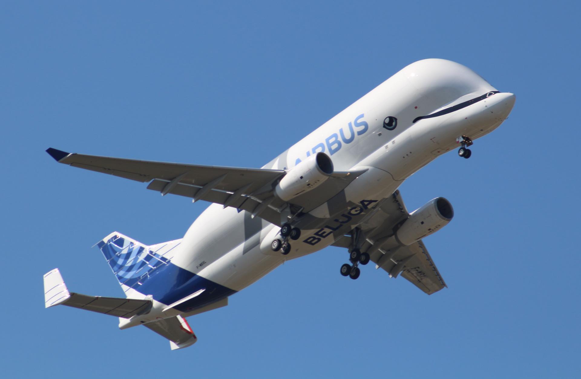 هواپیمای بلوگا ایکس ال ایرباس / airbus blugaxl