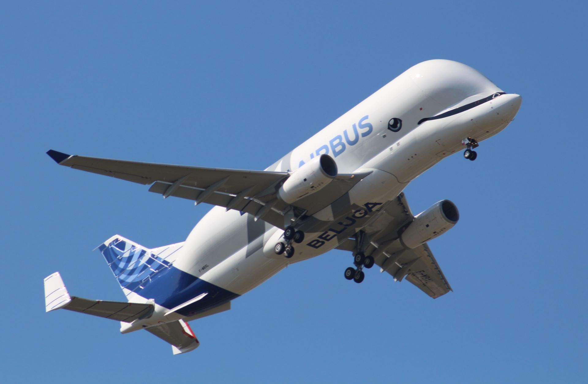هواپیمای بلوگا ایکس ال ایرباس / airbus blugaxl