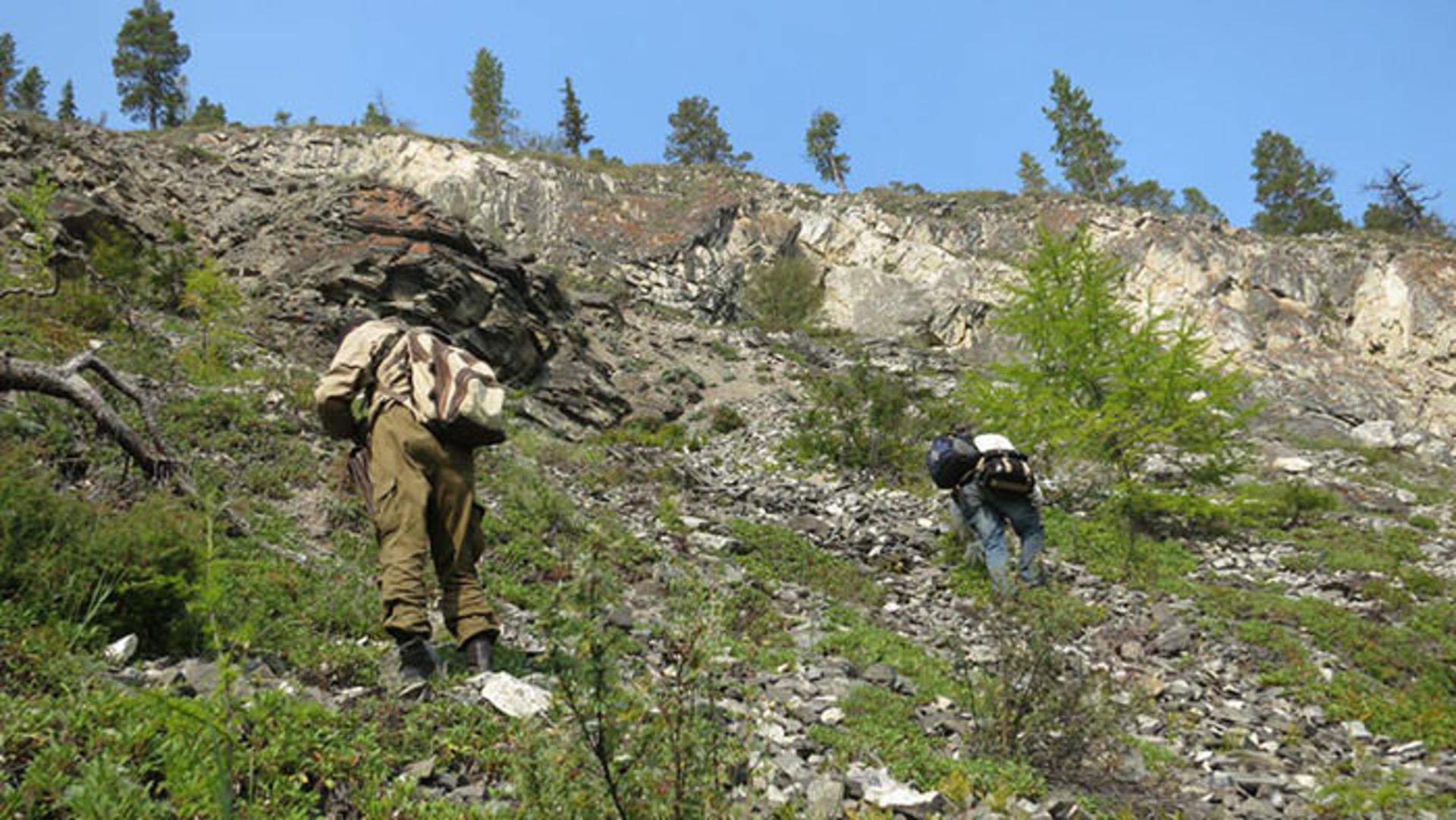 بررسی سرنخ ها