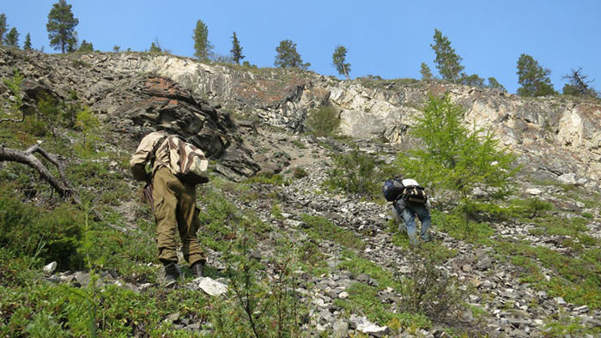 بررسی سرنخ ها