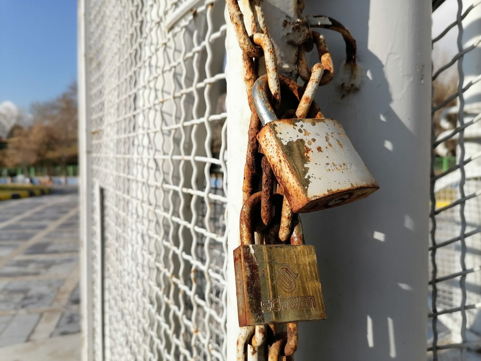 نمونه تصویر گرفته شده با دوربین اصلی آنر ۹ ایکس - حالت aperture