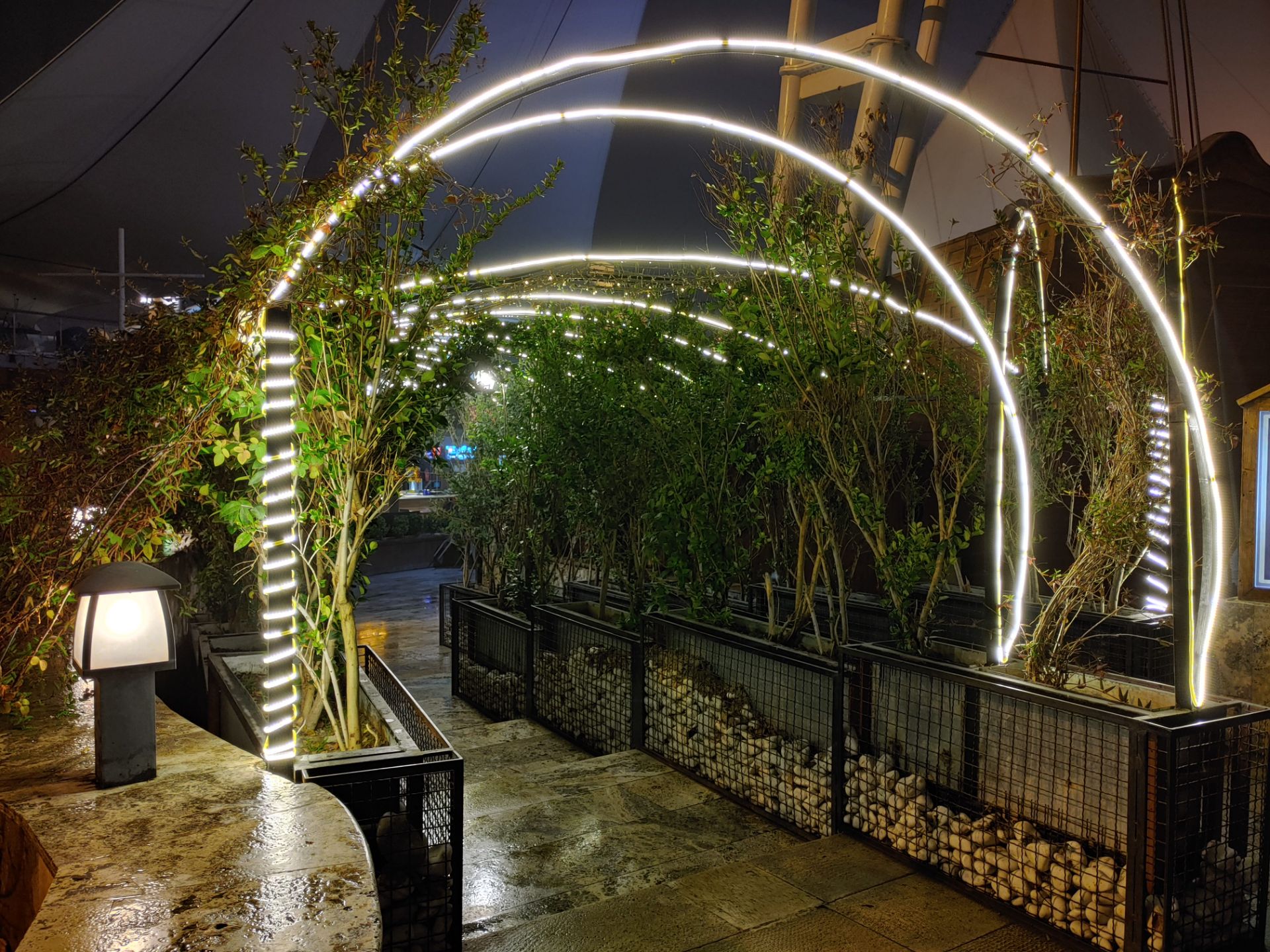 نمونه‌عکس‌های ال‌جی جی ۸ اس در طول شب