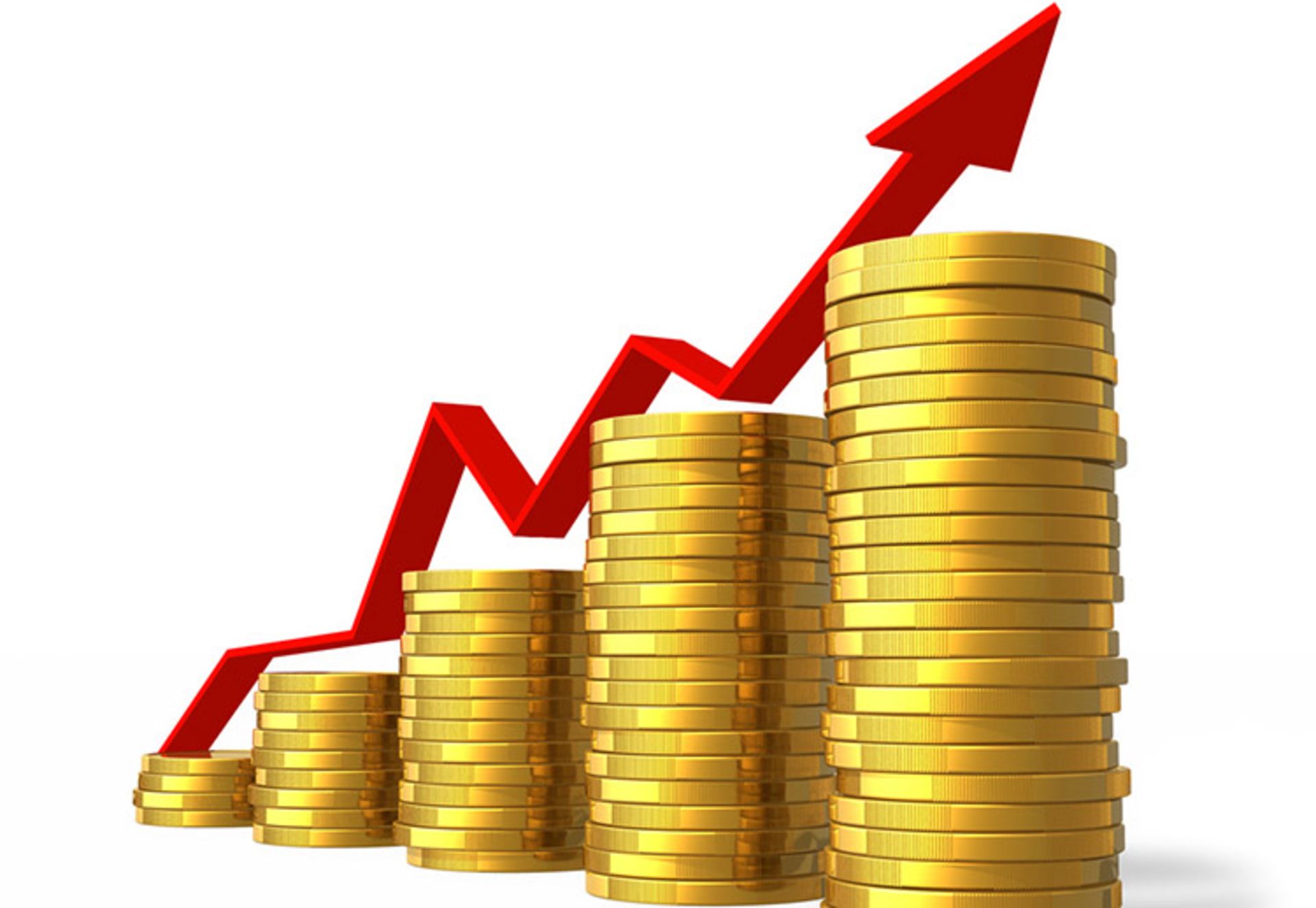 کتاب دید اقتصادی/How an Economy Grows and Why It Crashes book