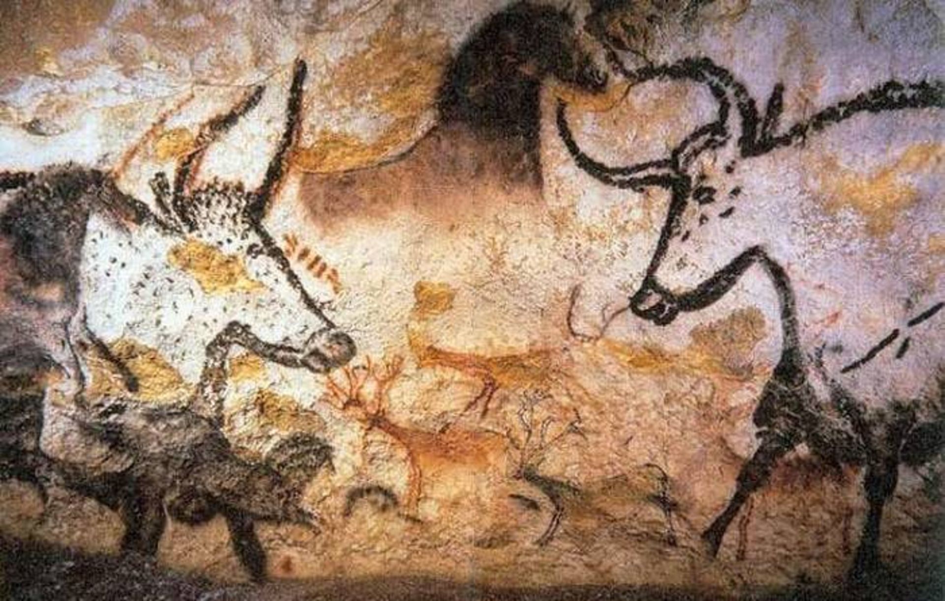 انسان شکارچی