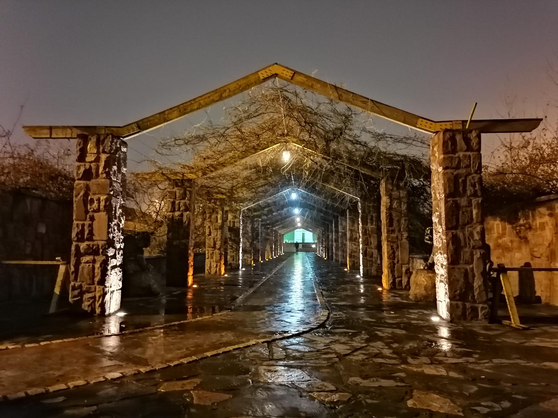 نمونه تصویر شب گرفته شده با دوربین اصلی آنر ۹ ایکس - حالت Night