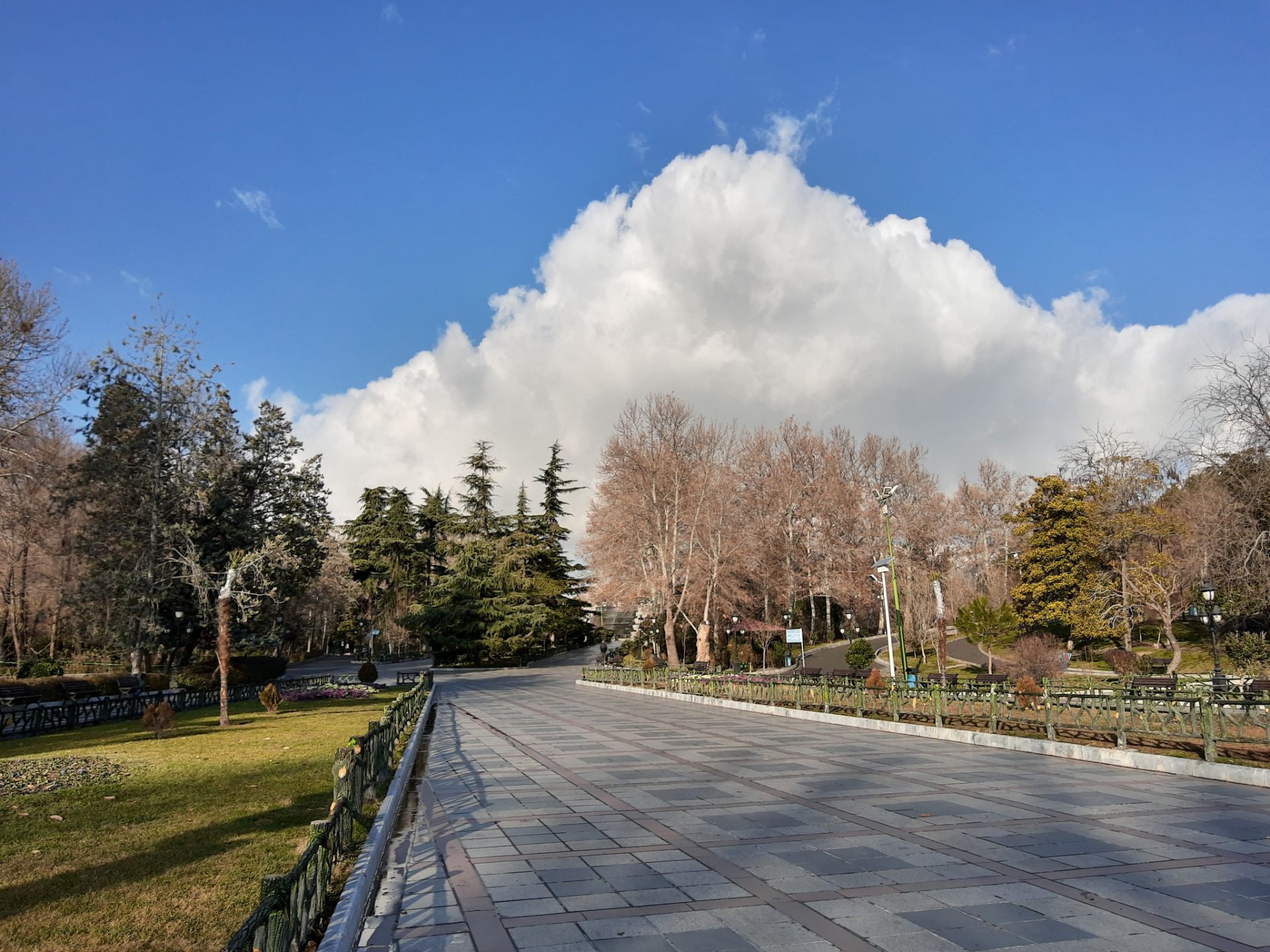 نمونه‌عکس‌های موتورولا وان اکشن