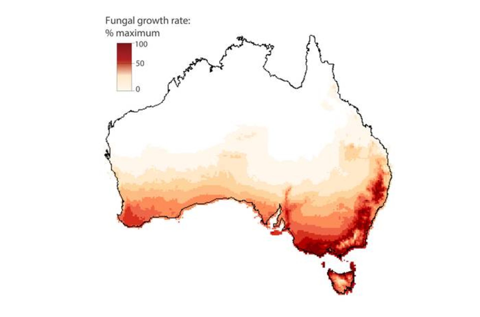 پراکندگی بیمار