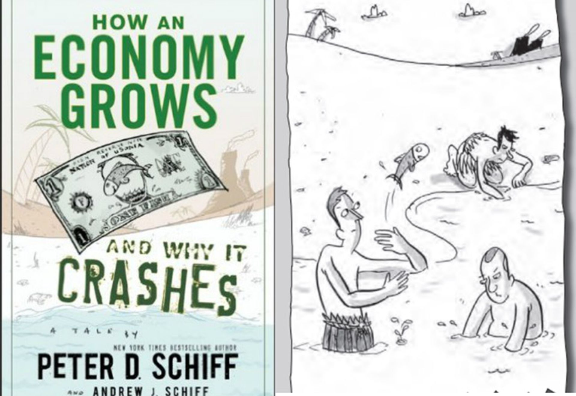 کتاب دید اقتصادی/How an Economy Grows and Why It Crashes book