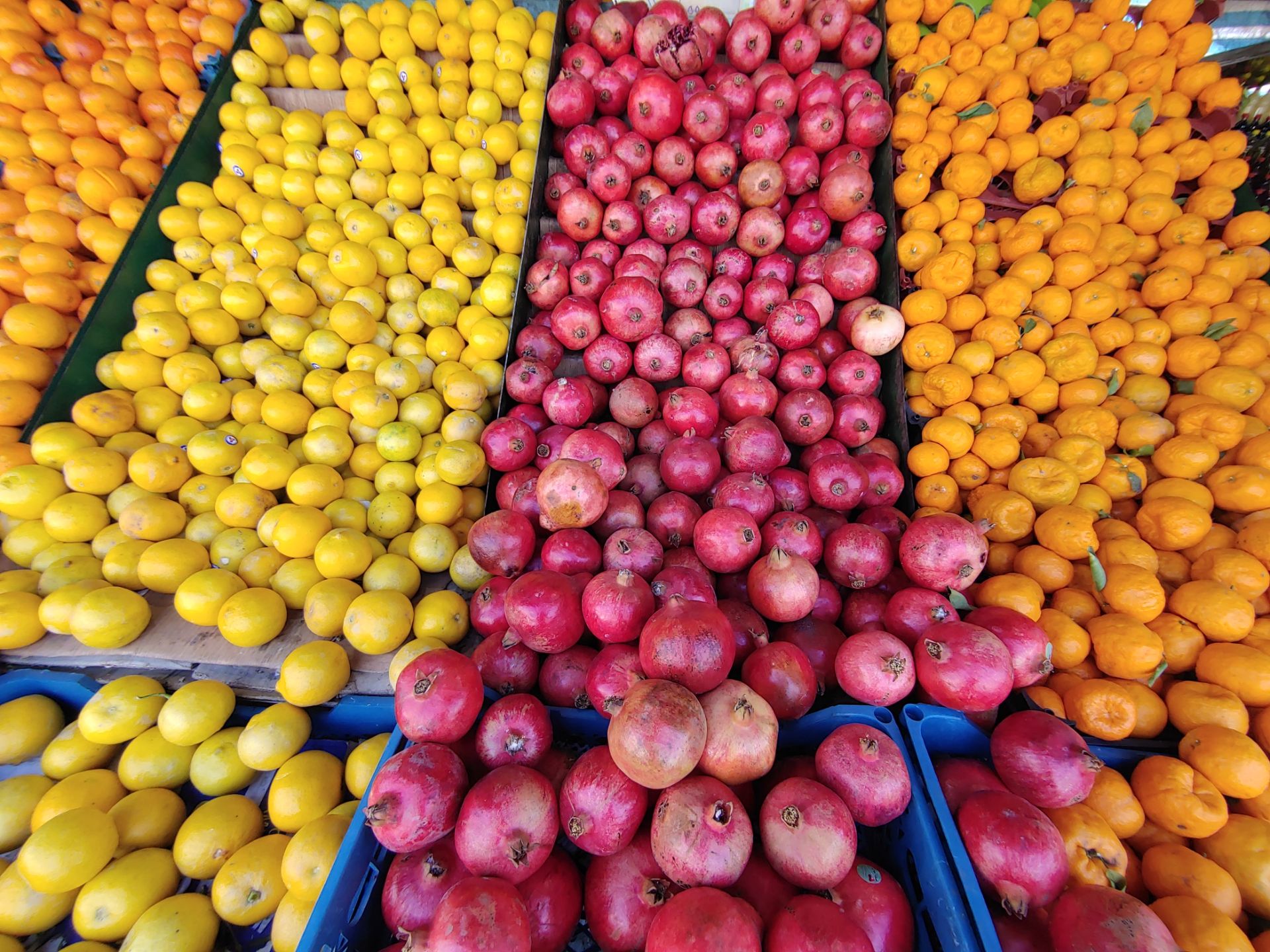 نمونه‌عکس‌های ال‌جی جی ۸ اس در طول روز