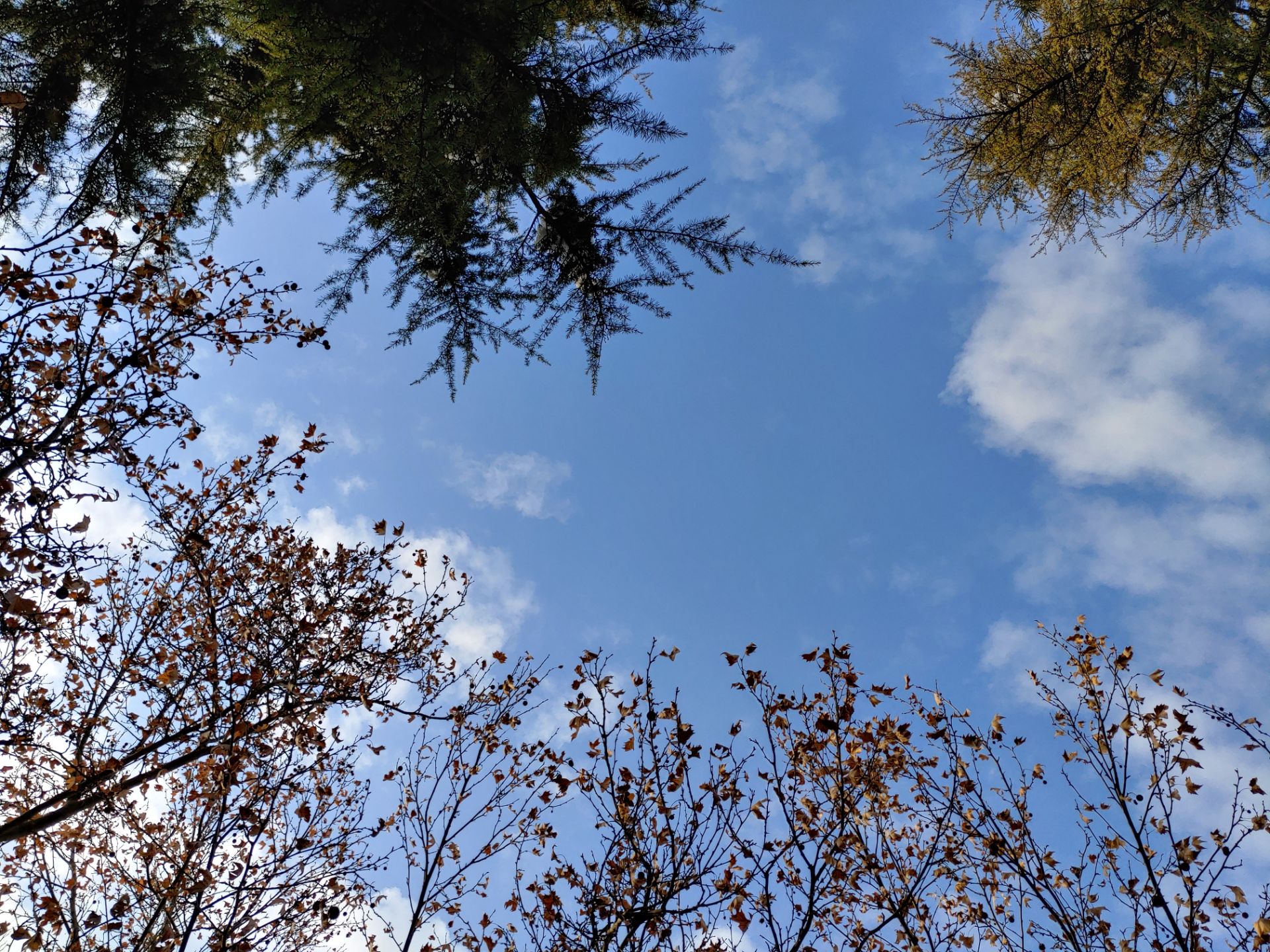 نمونه‌عکس‌های ال‌جی جی ۸ اس در طول روز