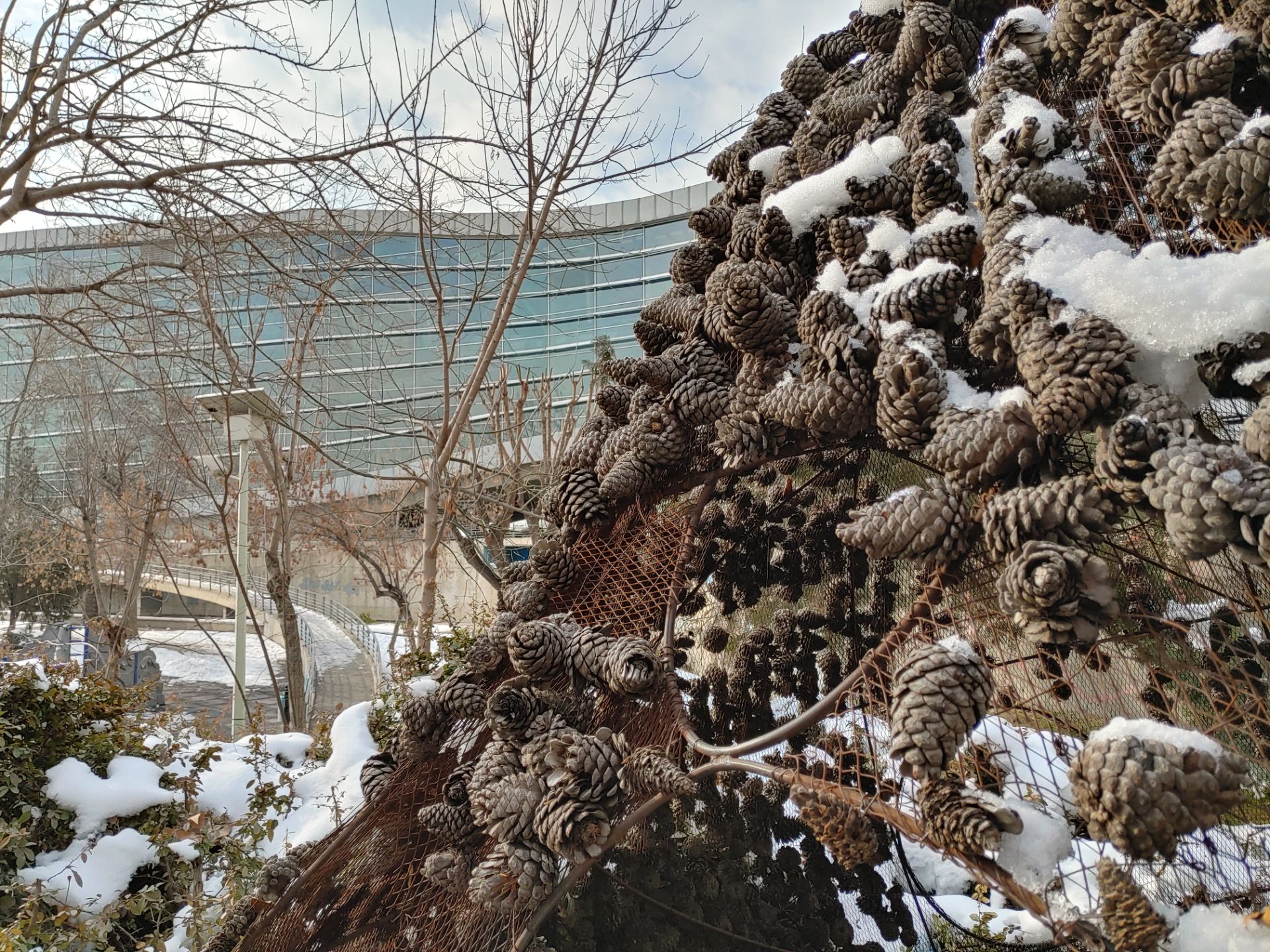 نمونه‌عکس‌های ال‌جی جی ۸ اس در طول روز