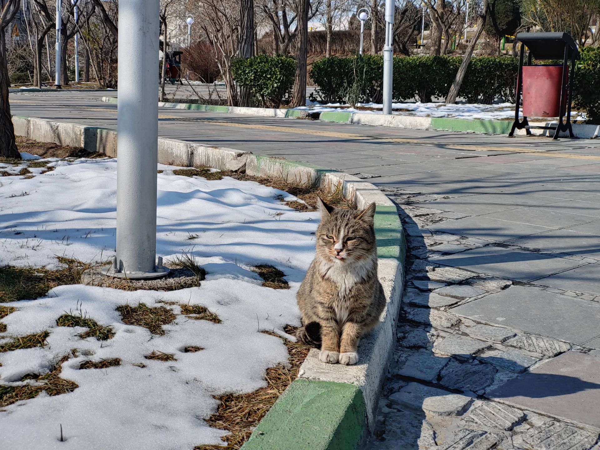 نمونه‌عکس‌های ال‌جی جی ۸ اس در طول روز