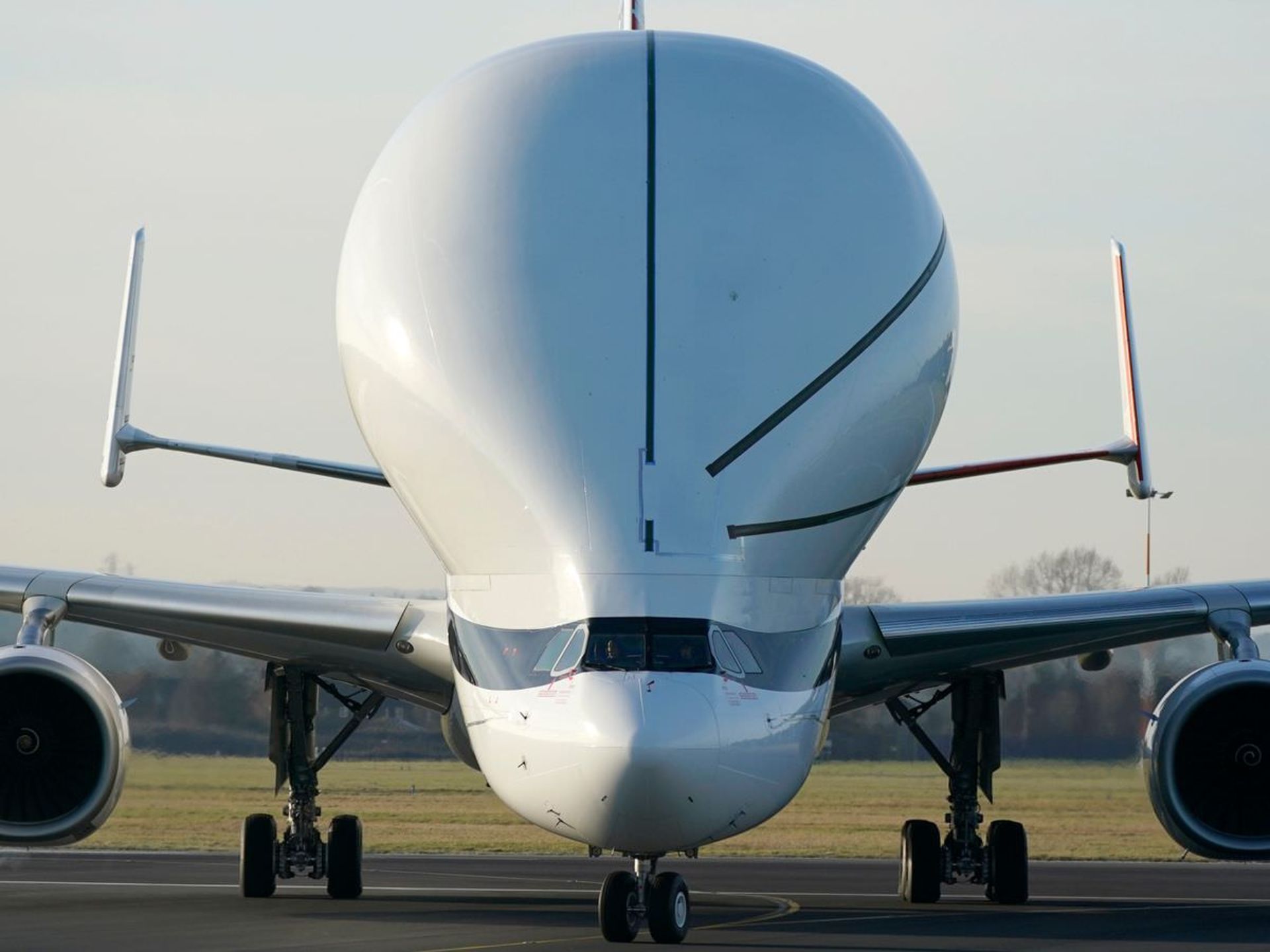 هواپیمای بلوگا ایکس ال ایرباس / airbus blugaxl