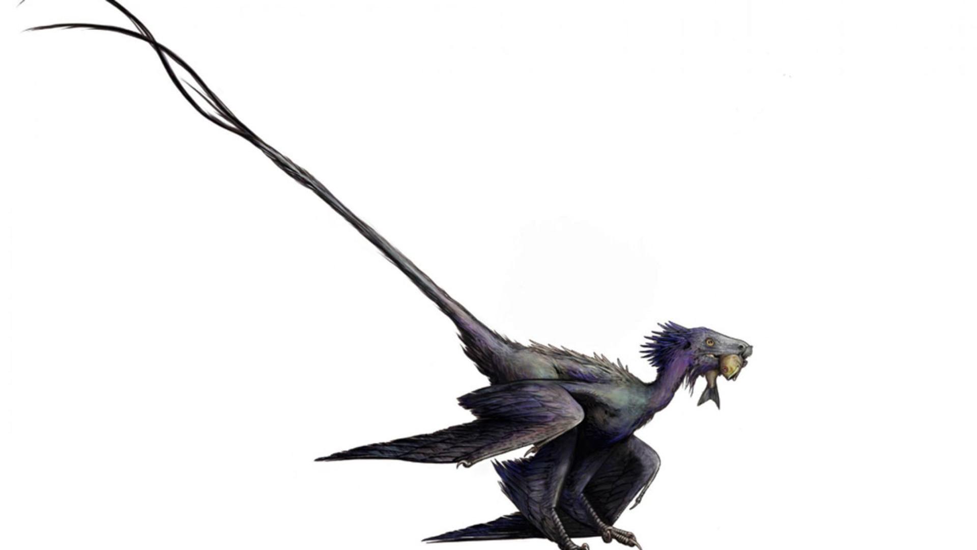  Wulong Bohaiensis