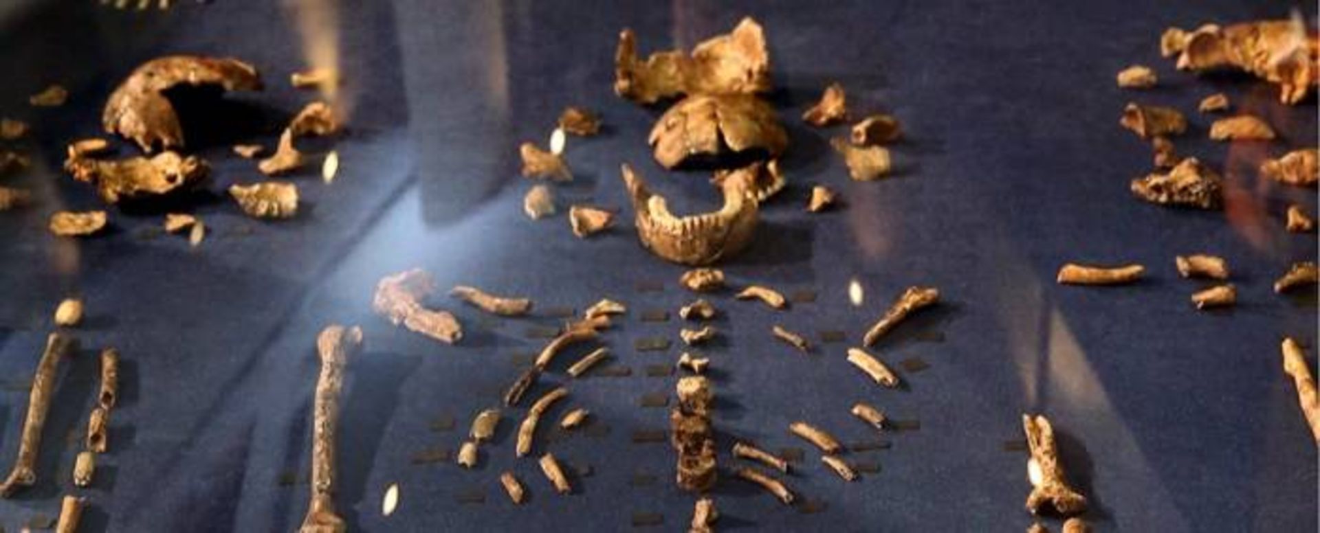 مرجع متخصصين ايران استخوان انسان هاي باستاني