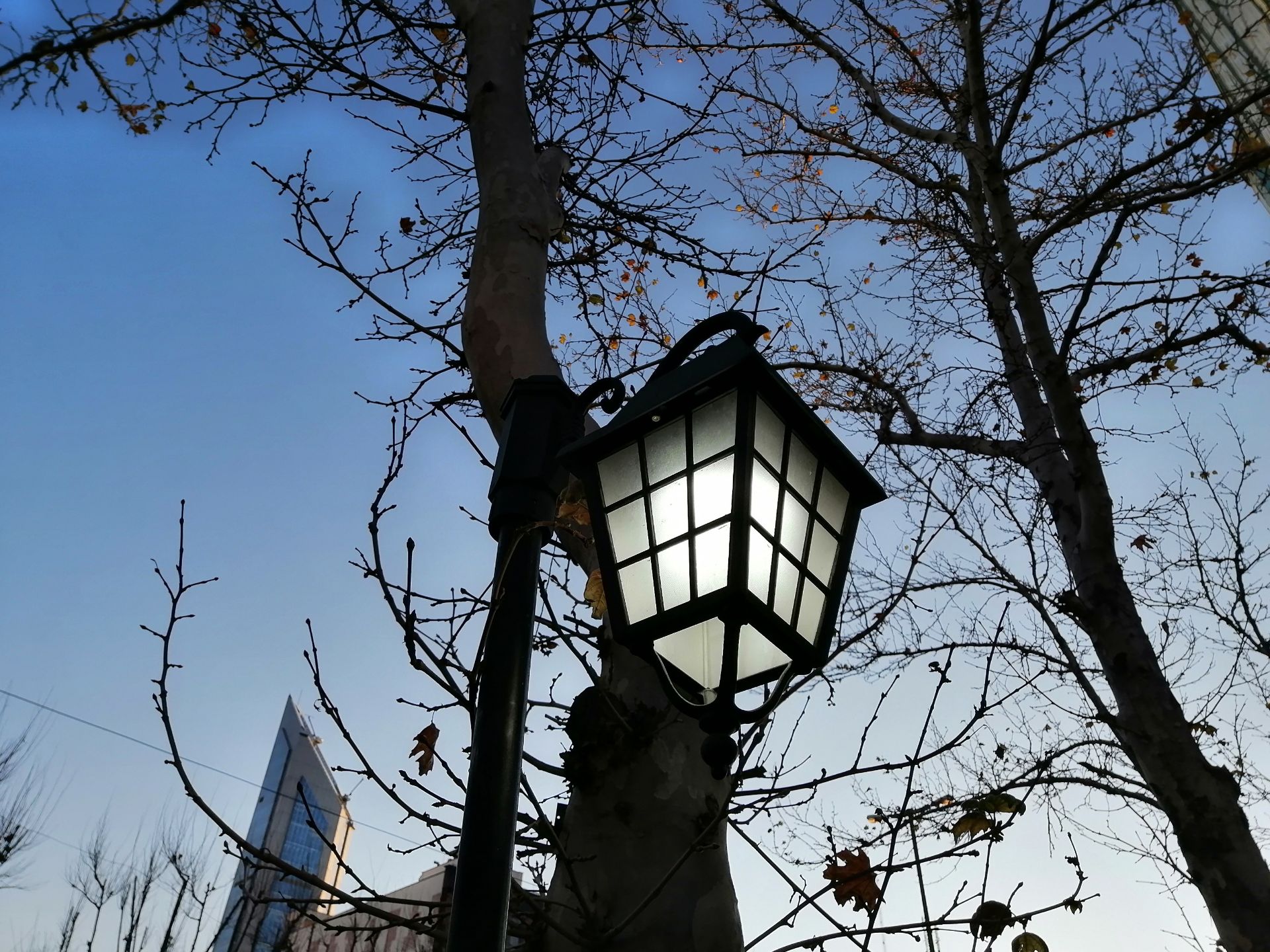 نمونه عکس‌های وای 9 پرایم 2019