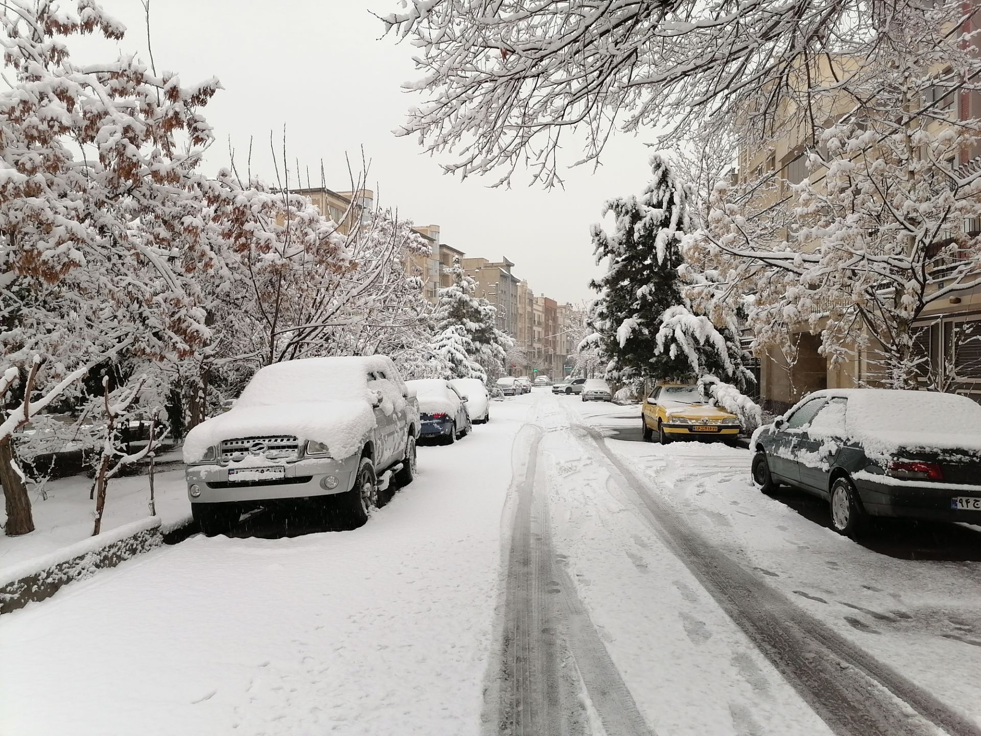 نمونه تصویر گرفته شده با دوربین اصلی آنر ۹ ایکس