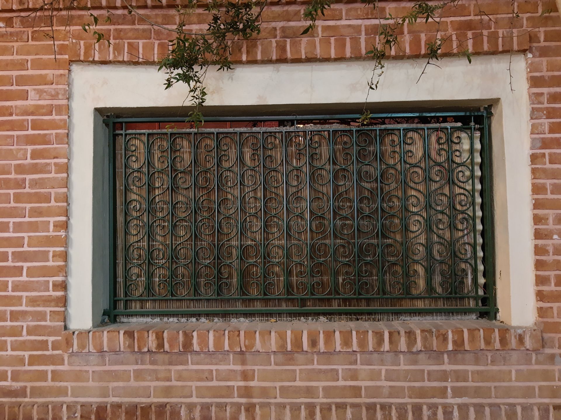 نمونه‌عکس‌های موتورولا وان اکشن