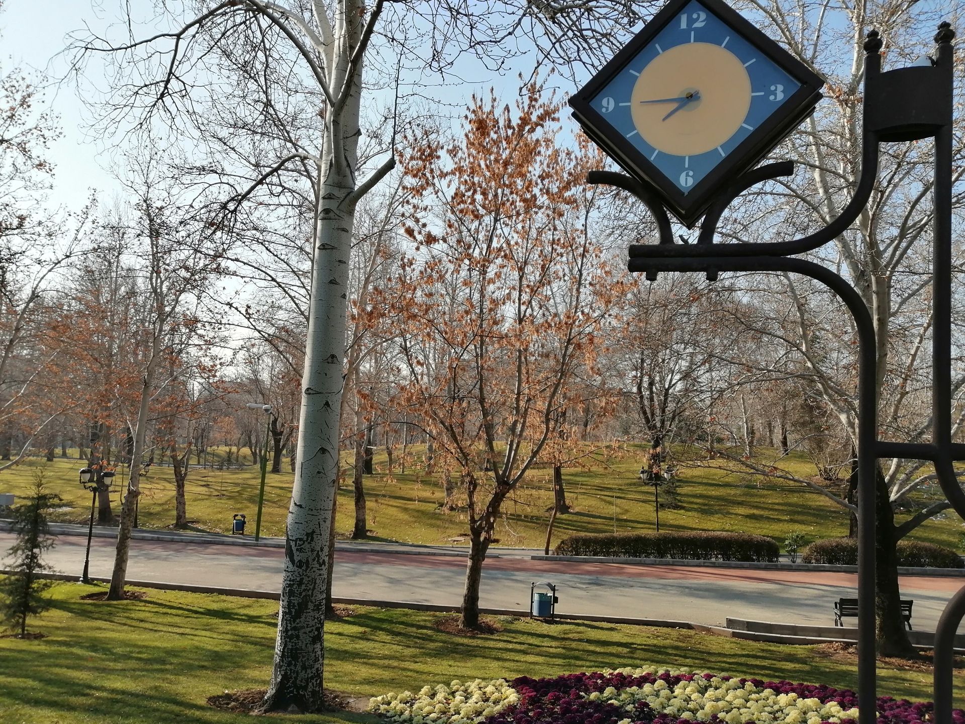 نمونه عکس‌های وای 9 پرایم 2019