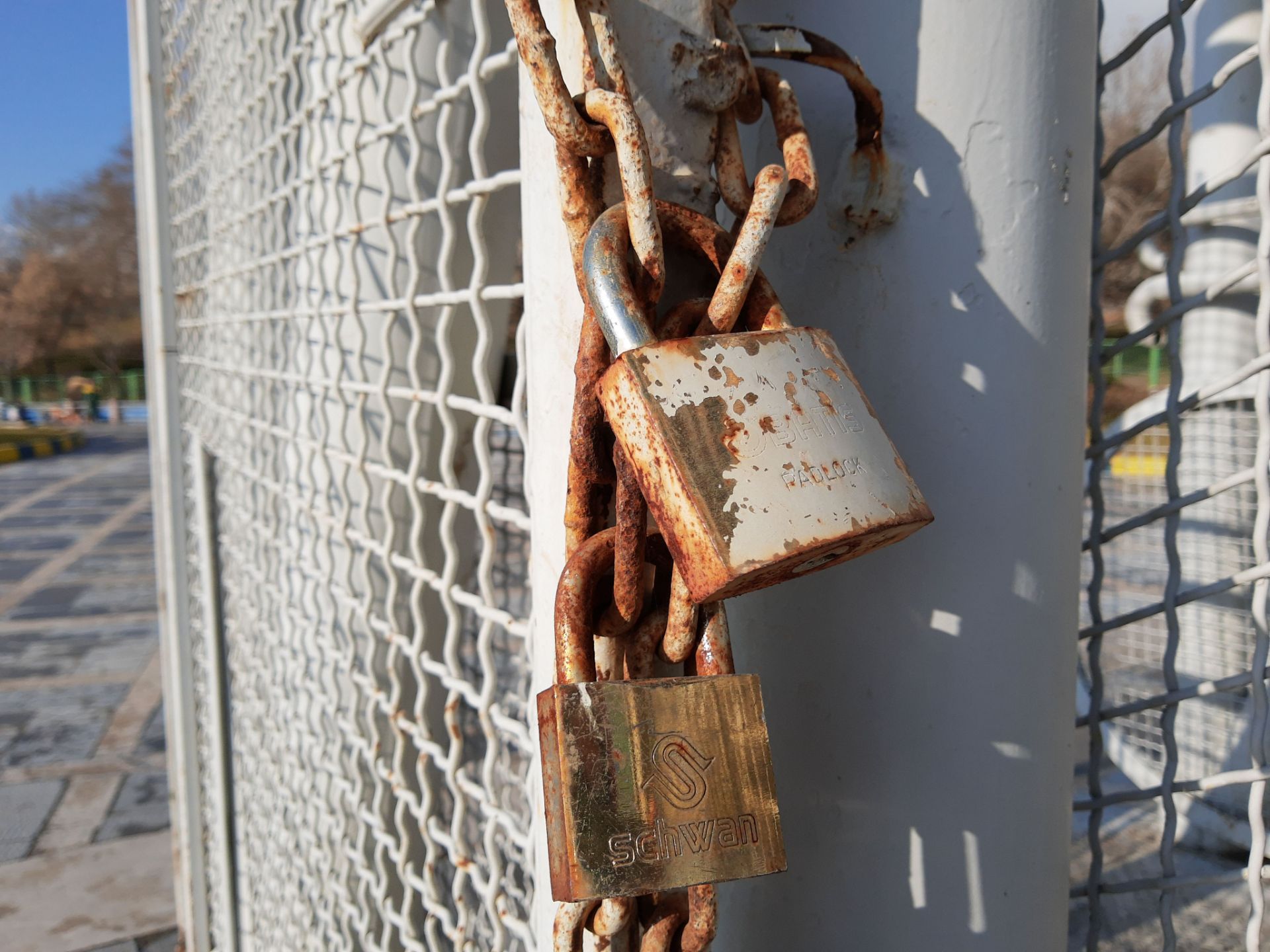 نمونه‌عکس‌های موتورولا وان اکشن